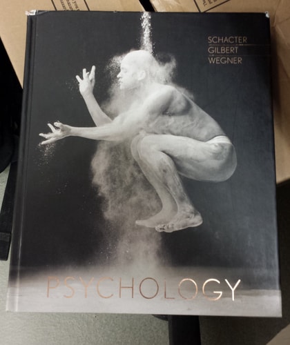 Psychology First Edition Daniel L Schacter Daniel T Gilbert