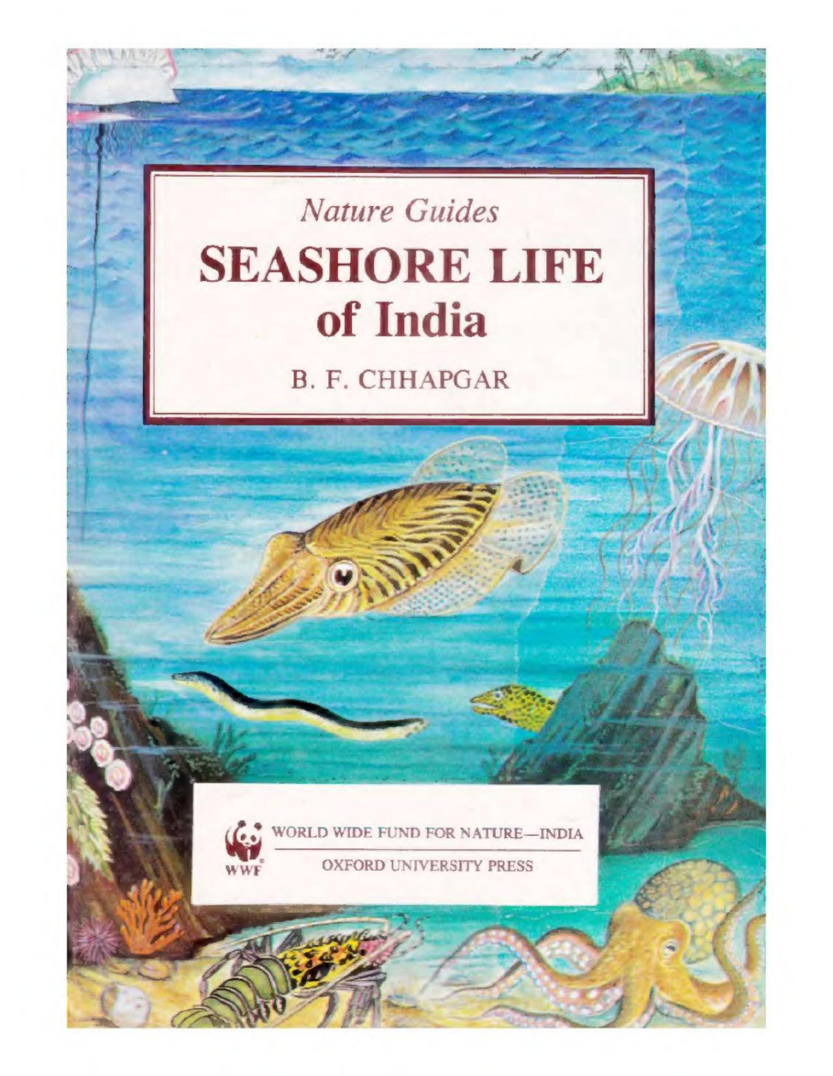 Seashore Life Of India English Nature Guide B F Chhapgar