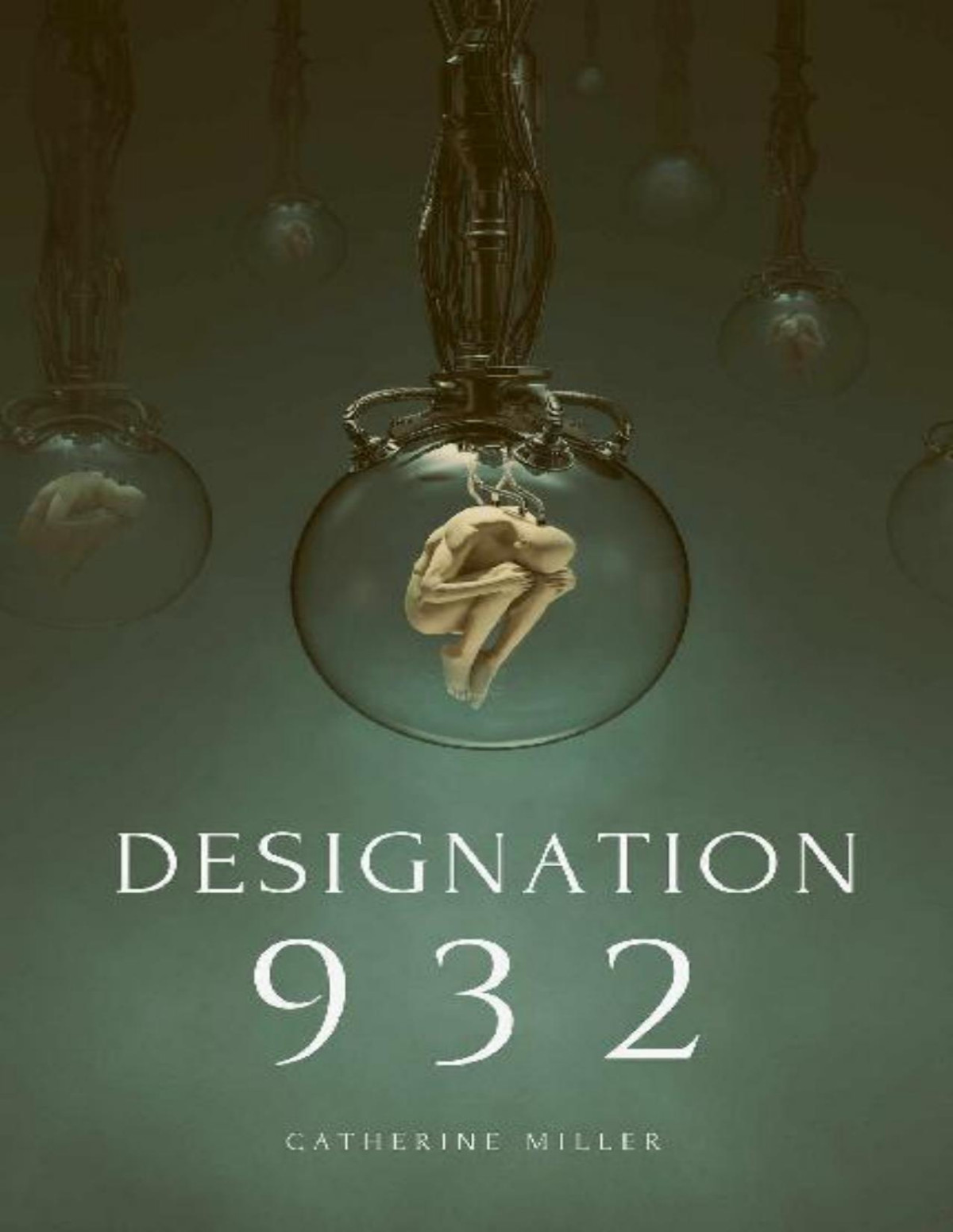 Designation 932 The Wholeness Project Book 1 Catherine Miller