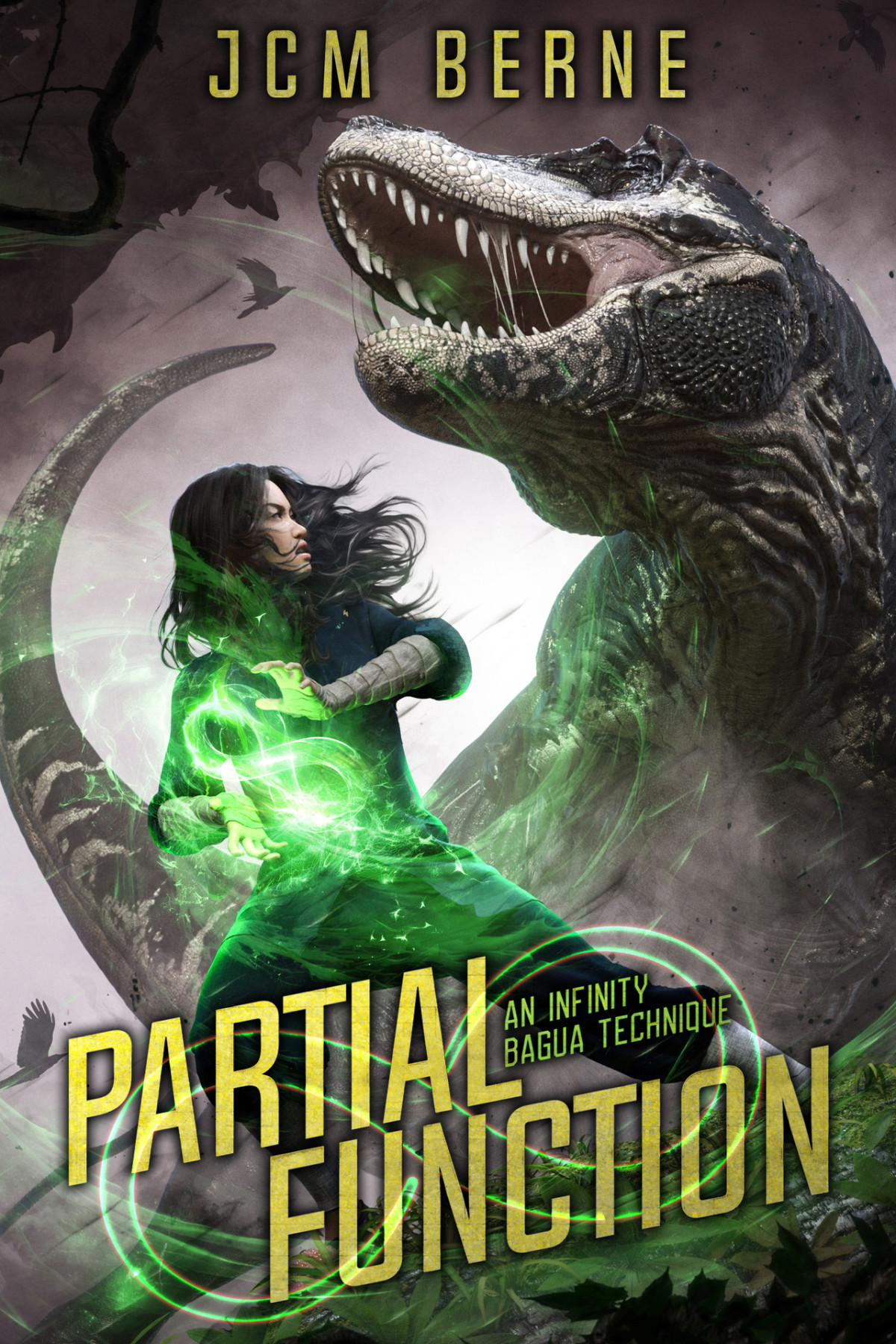 Partial Function A Wuxiainspired Epic Fantasy Berne Jcm
