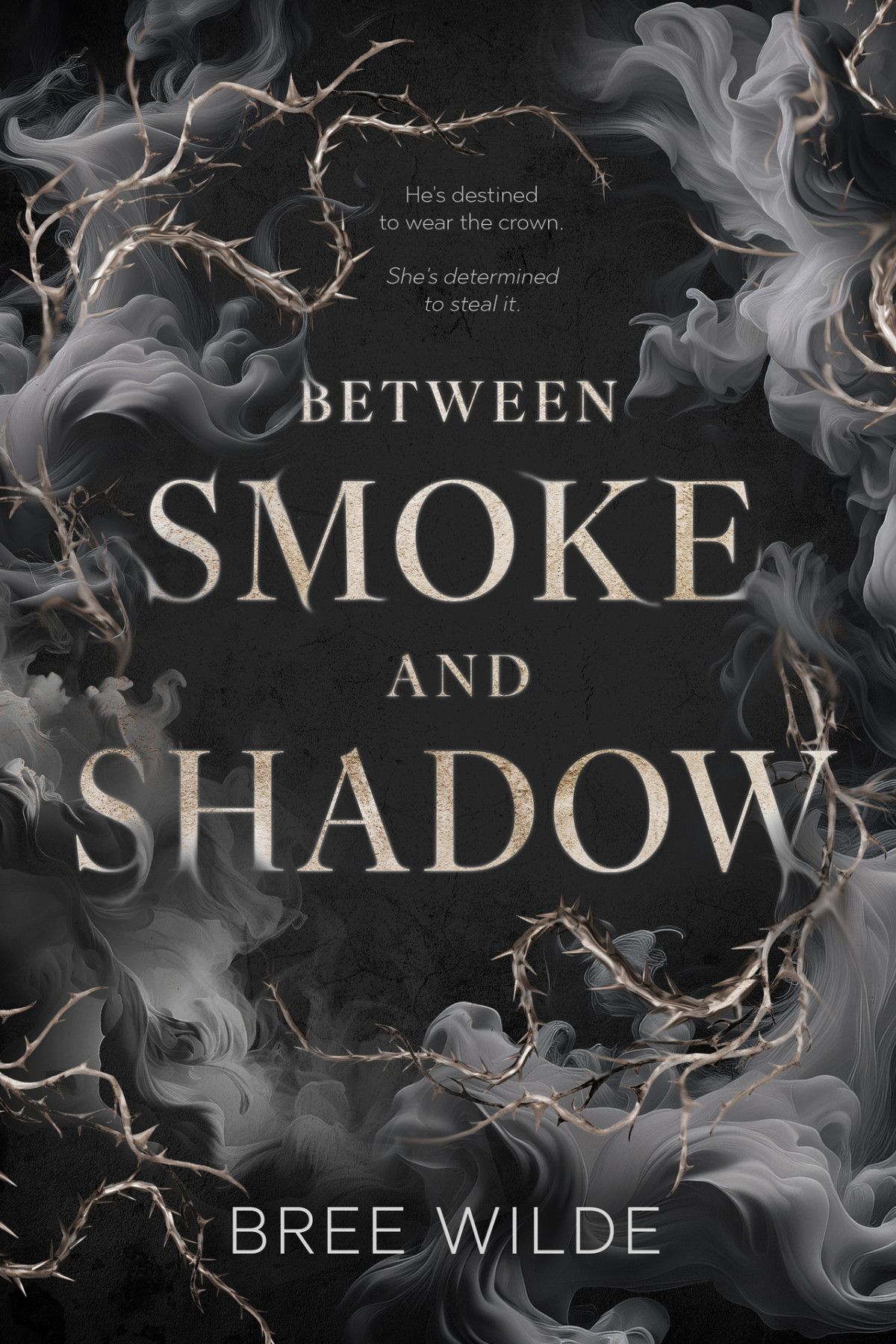 Between Smoke And Shadow A Forbidden Love Romantasy Bree Wilde