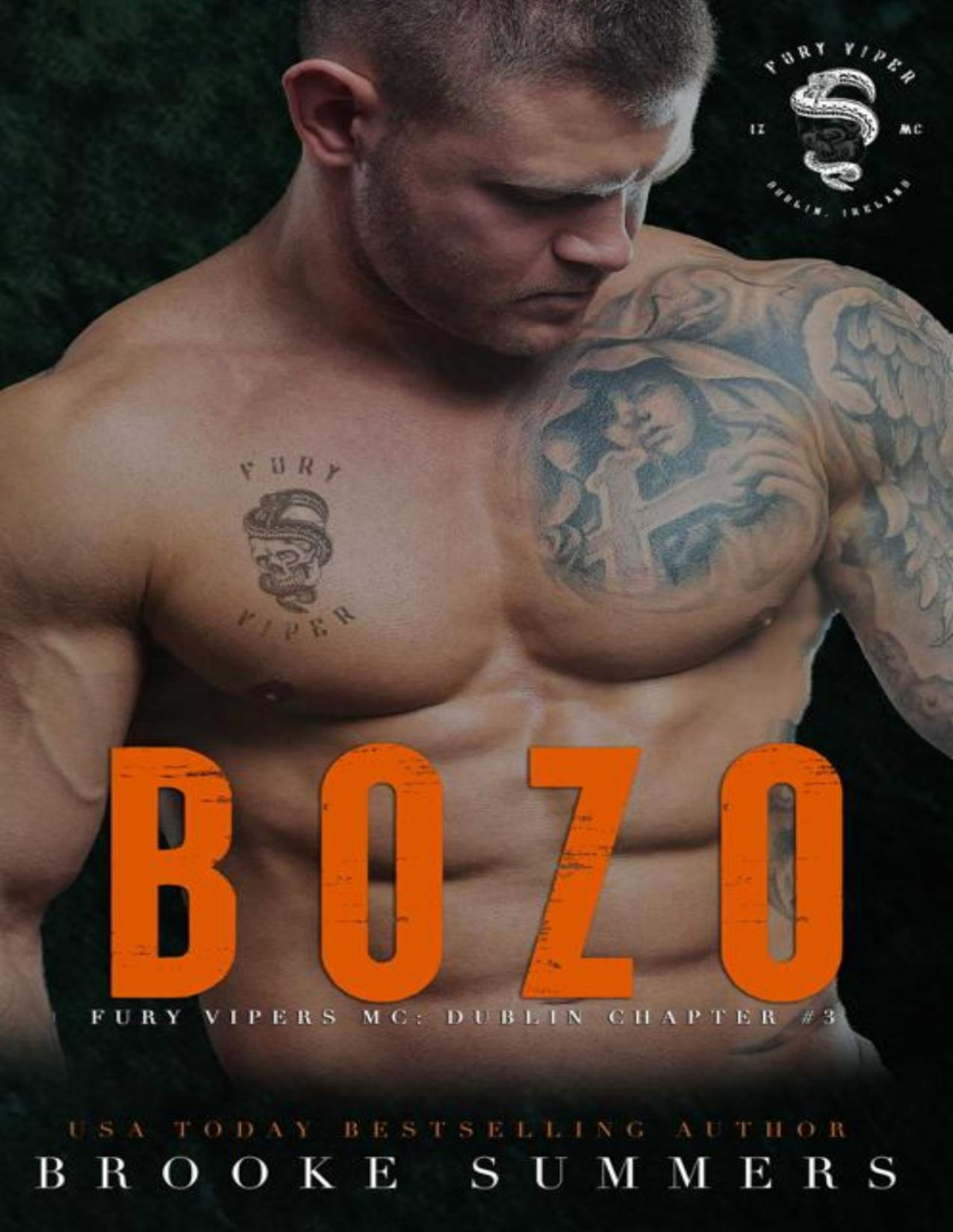 Bozo Fury Vipers Mc Dublin Chapter Book 3 Brooke Summers
