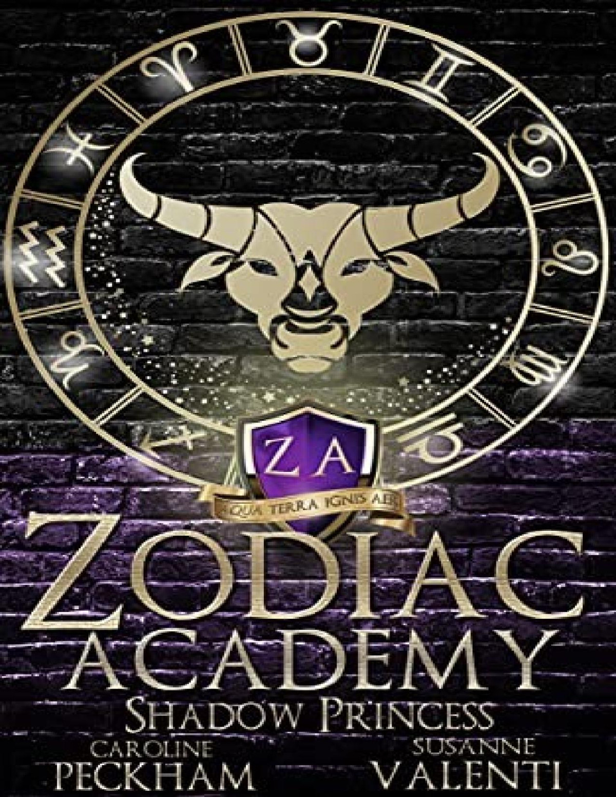 Zodiac Academy 4 Shadow Princess Caroline Peckham Susanne Valenti