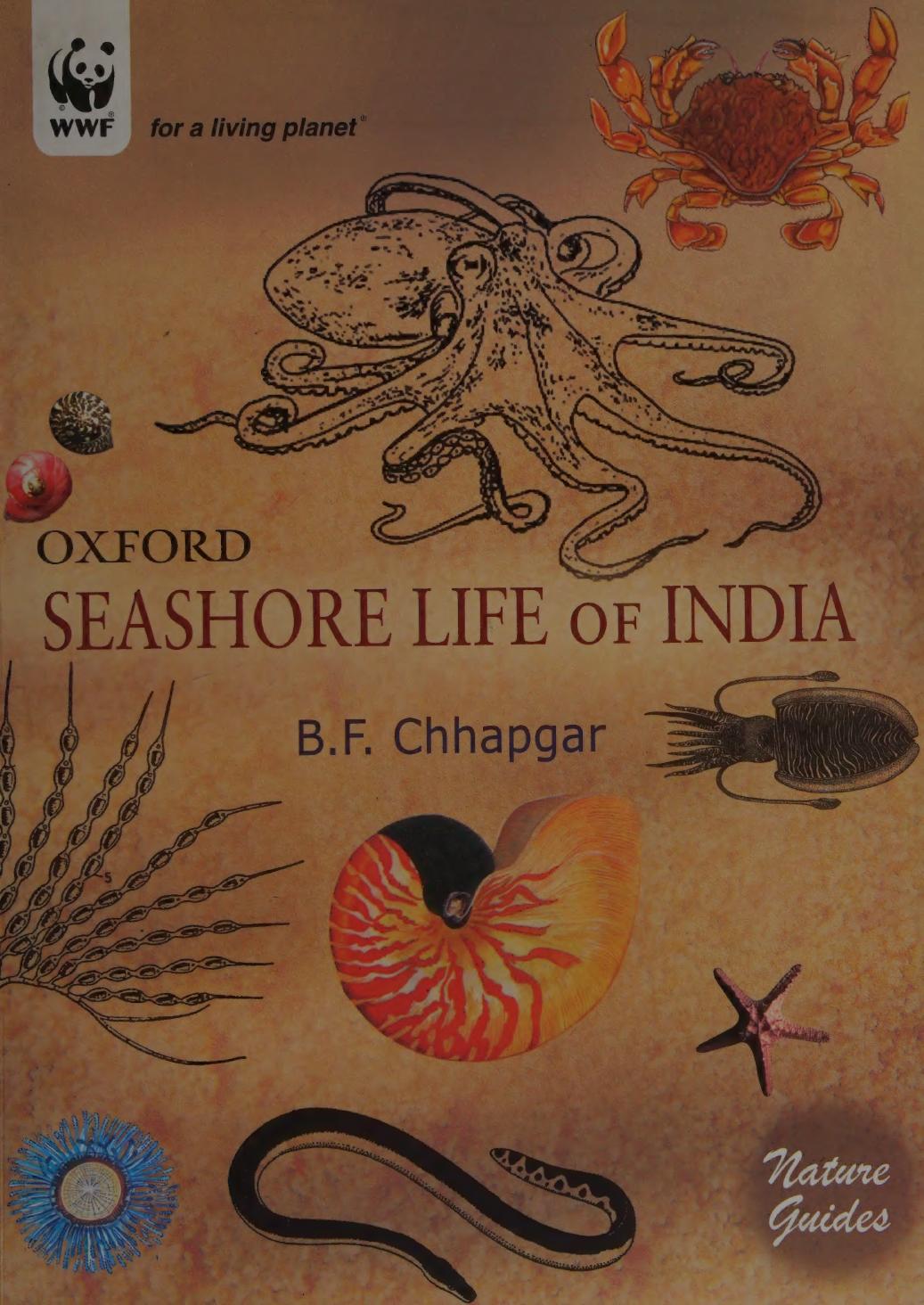 Seashore Life Of India Chhapgar B F