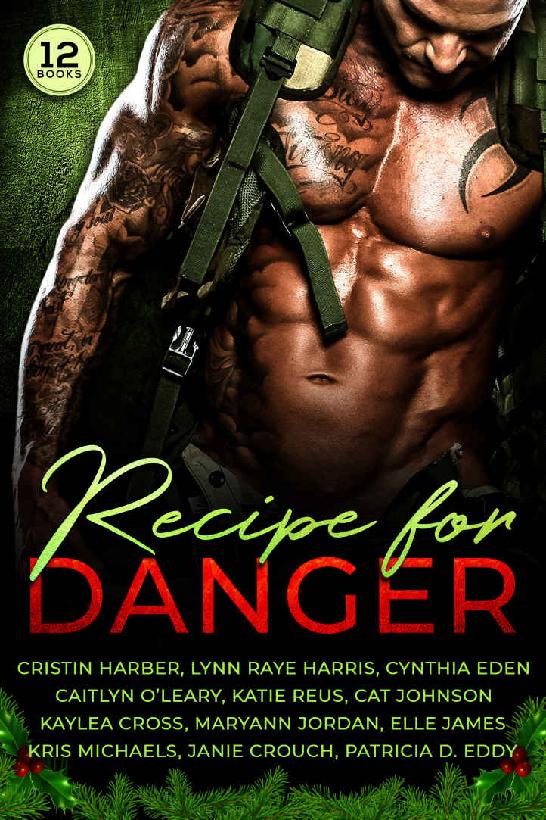 Recipe For Danger A Collection Of Military Romantic Suspense Books Janie Crouch Lynn Raye Harris Cynthia Eden Caitlyn Oleary Katie Reus Patricia D Eddy Kris Michaels Maryann Jordan Kaylea Cross Cristin Harber Cat Johnson Elle James
