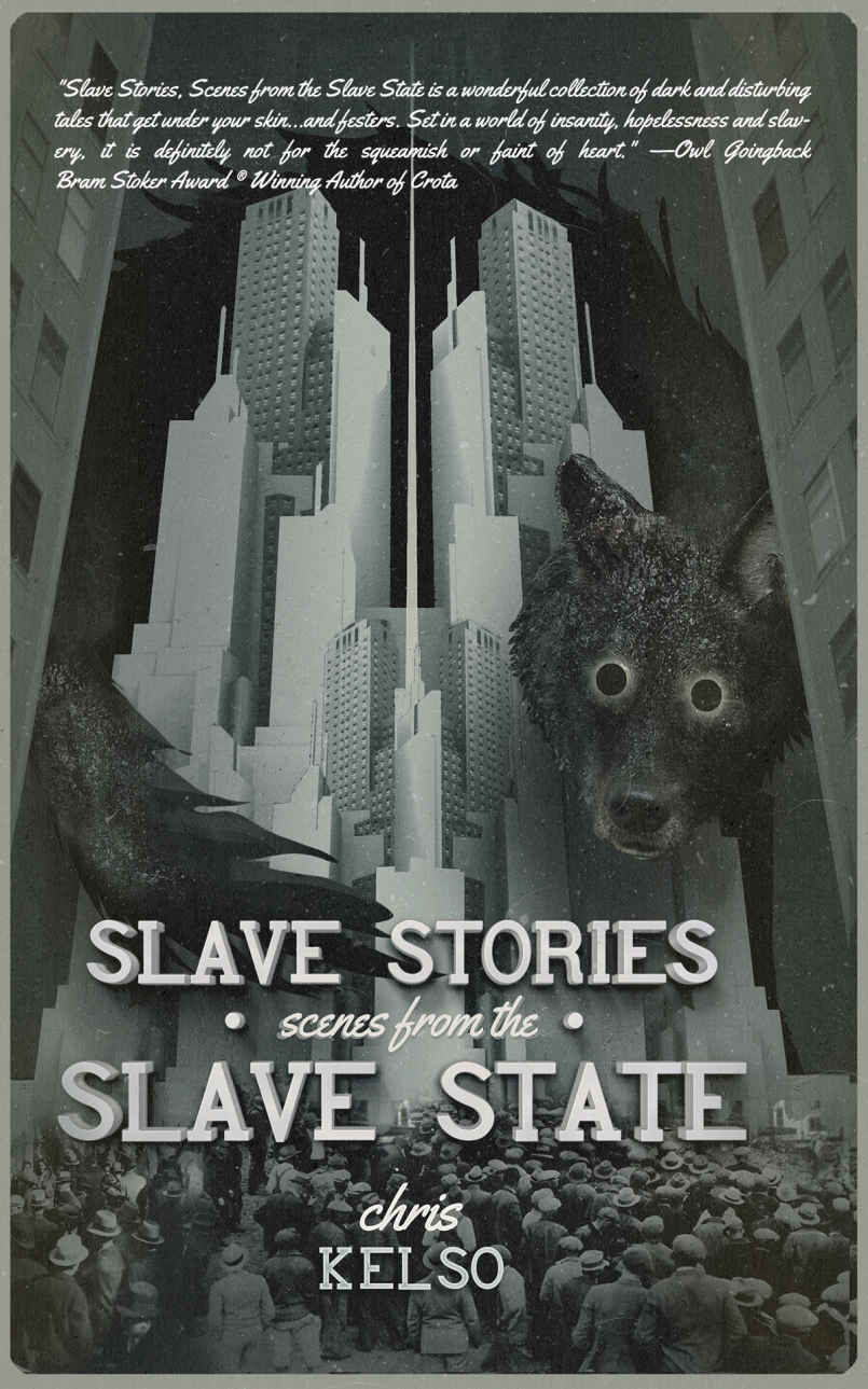Slave Stories Scenes From The Slave State Laura Lee Bahr John Langan Mary Turzillo Shane Swank Kris Saknussemm Hal Duncan Gio Clarval Richard Thomas Preston Grassmann