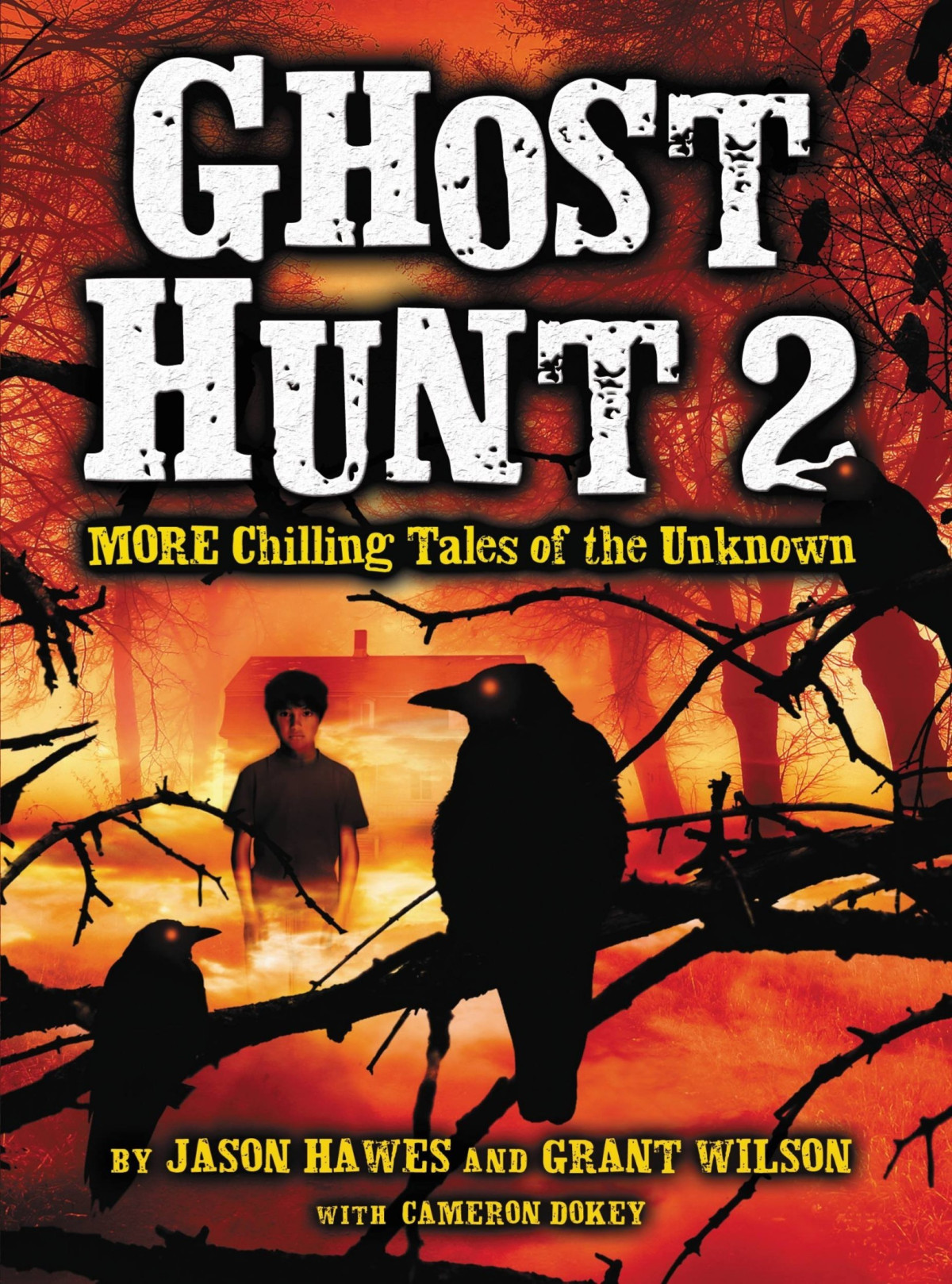 Ghost Hunt 2 More Chilling Tales Of The Unknown Jason Hawes Grant Wilson Cameron Dokey