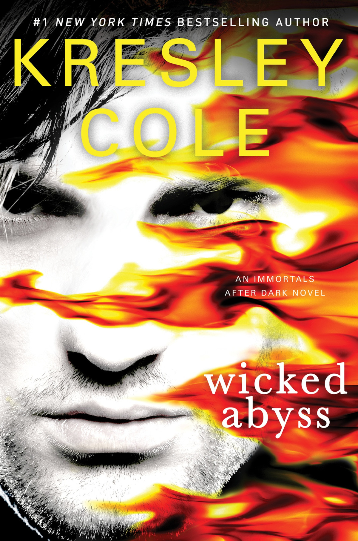 Immortals After Dark 18 Wicked Abyss Kresley Cole