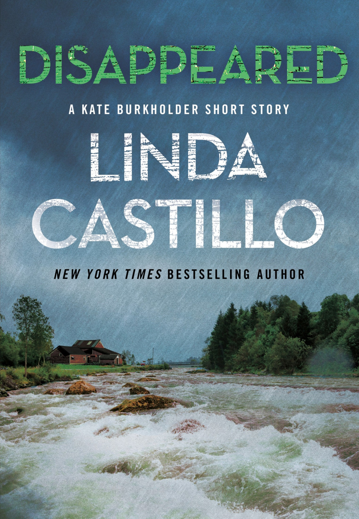 Disappeared Linda Castillo