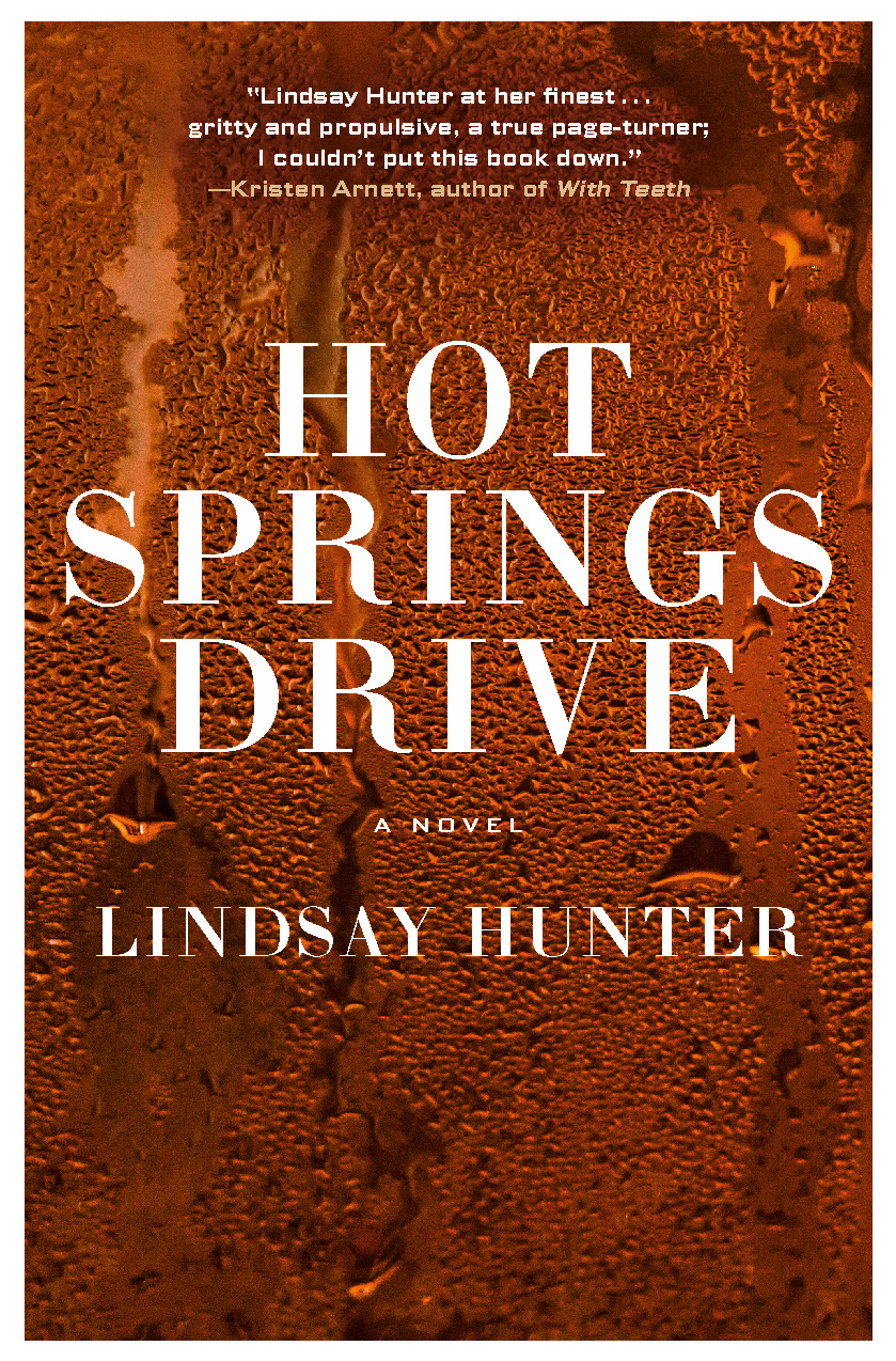 Hot Springs Drive Lindsay Hunter