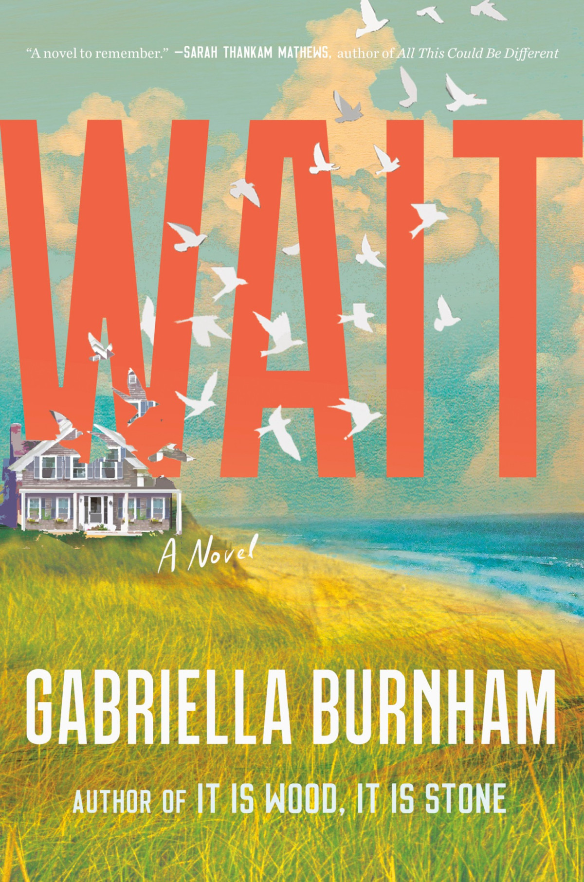 Wait A Novel Gabriella Burnham
