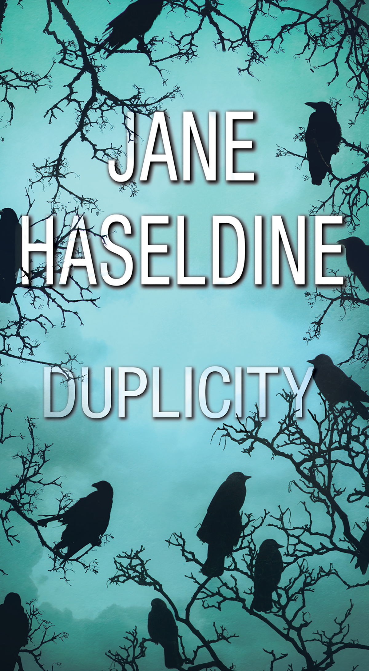 Duplicity Jane Haseldine