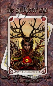 The Splintered Eye H Anthe Davis