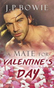 A Mate For Valentines Day J P Bowie