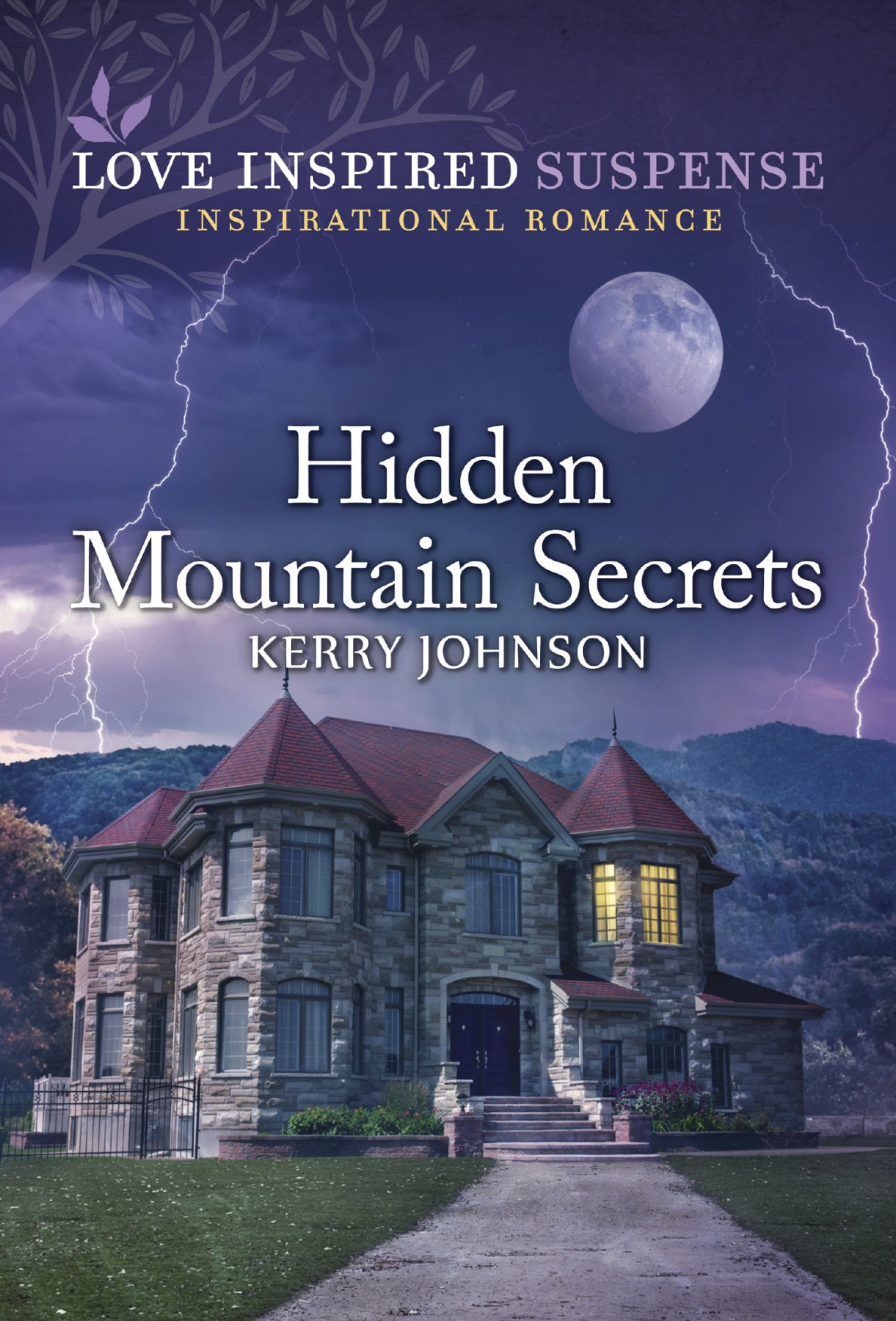 Hidden Mountain Secrets Kerry Johnson