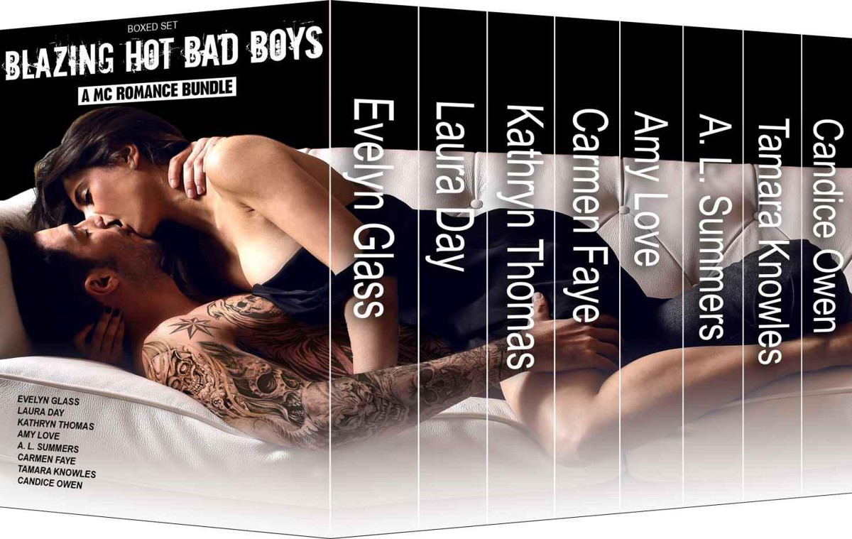 Blazing Hot Bad Boys Boxed Set Laura Day Carmen Faye Evelyn Glass