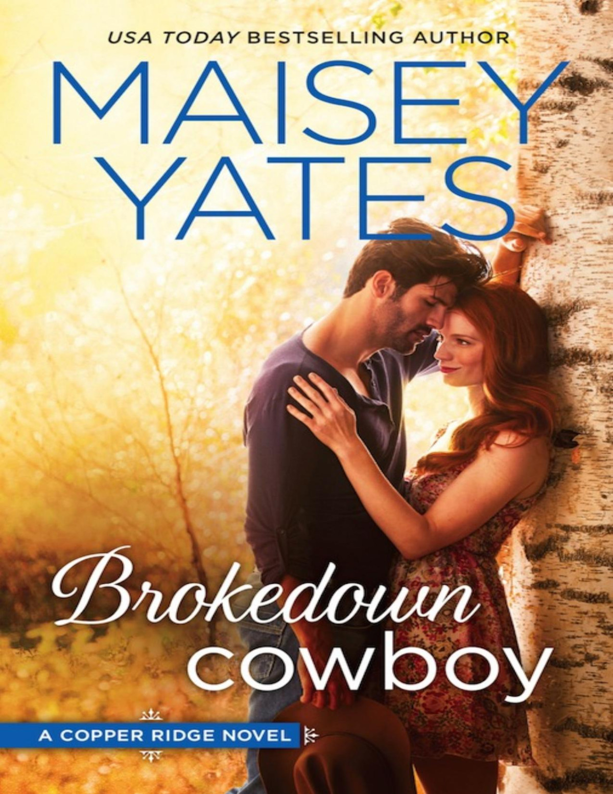 Copper Ridge 2 Brokedown Cowboy Maisey Yates