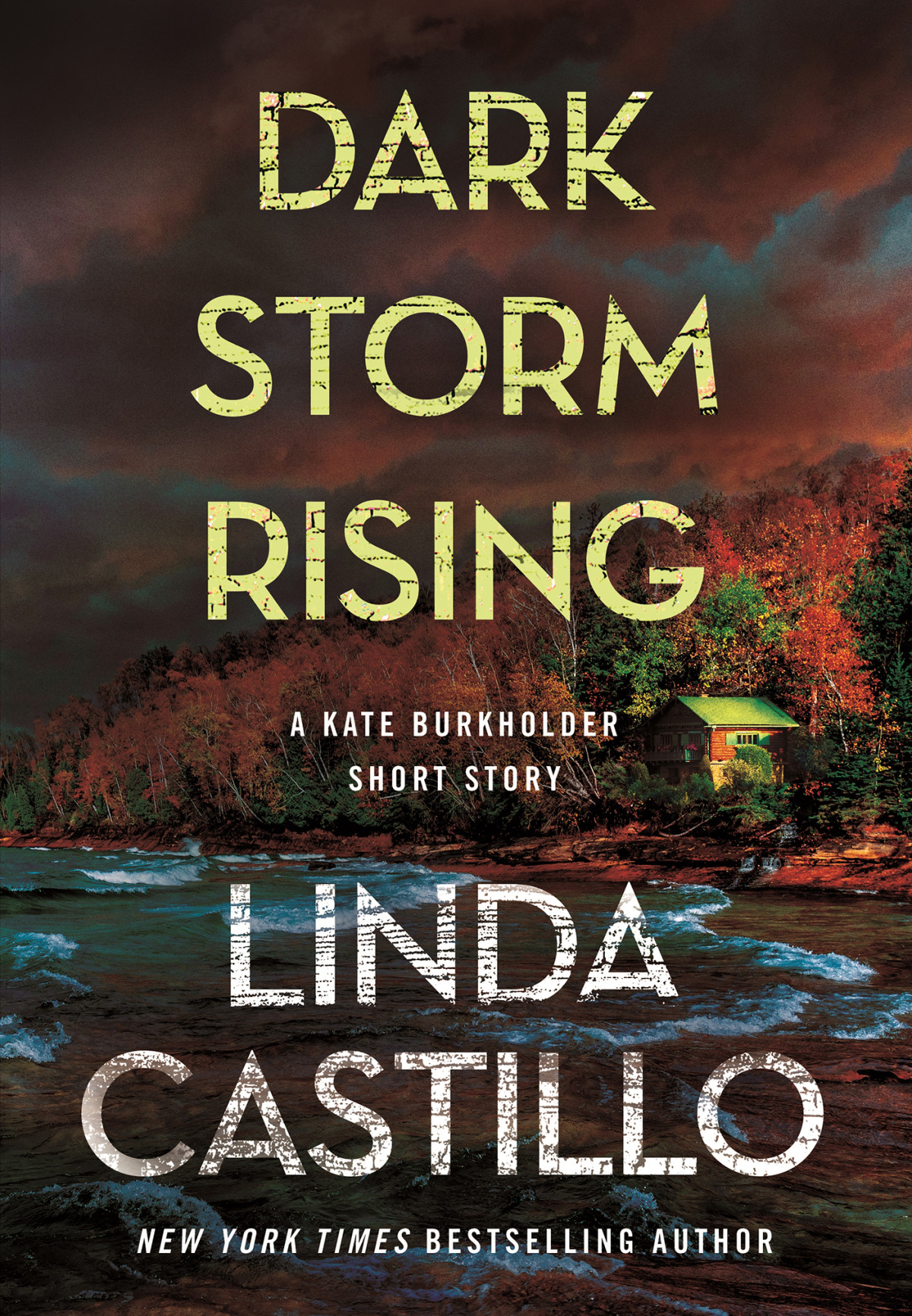 Dark Storm Rising Linda Castillo