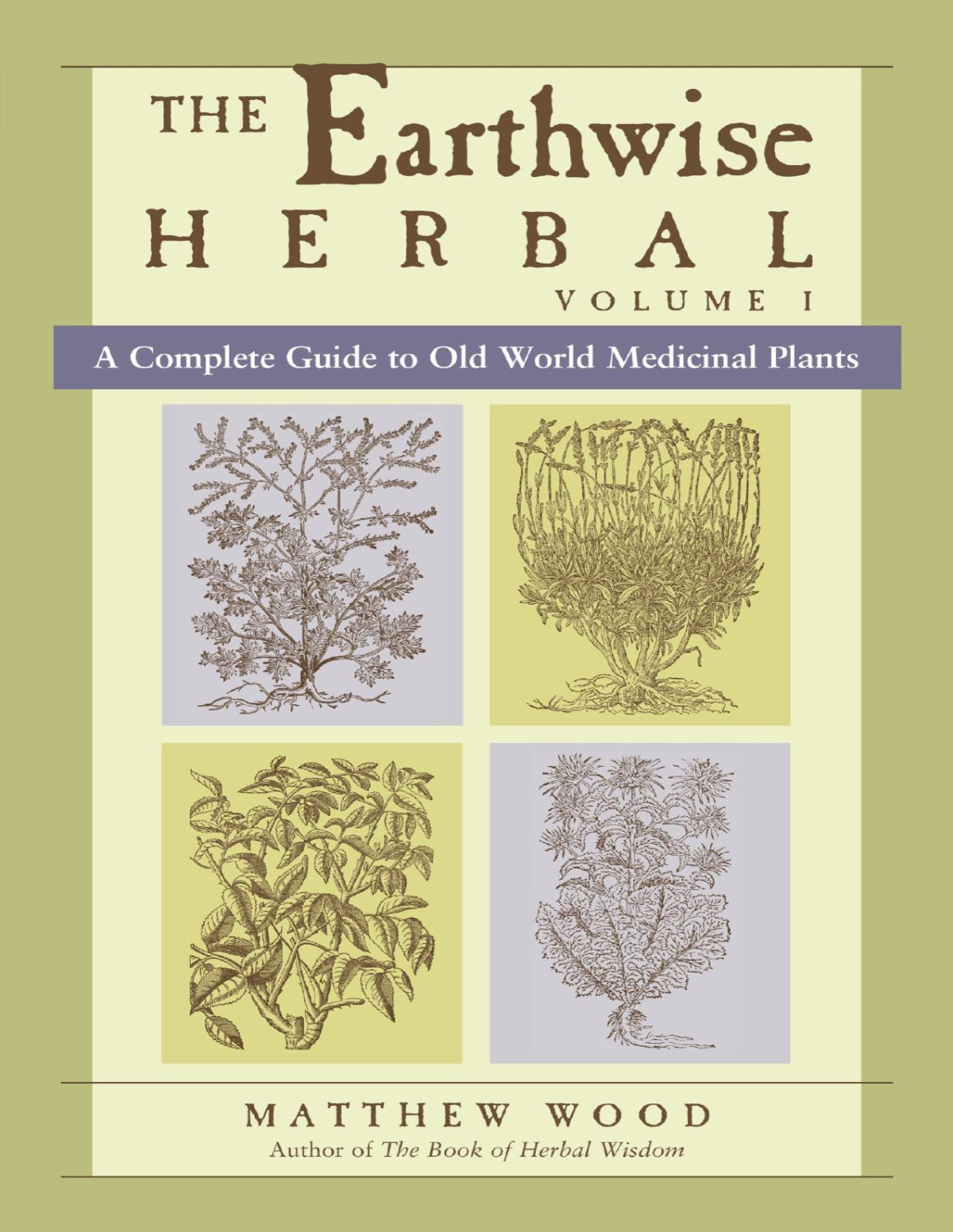 The Earthwise Herbal Volume I A Complete Guide To Old World Medicinal Plants Matthew Wood