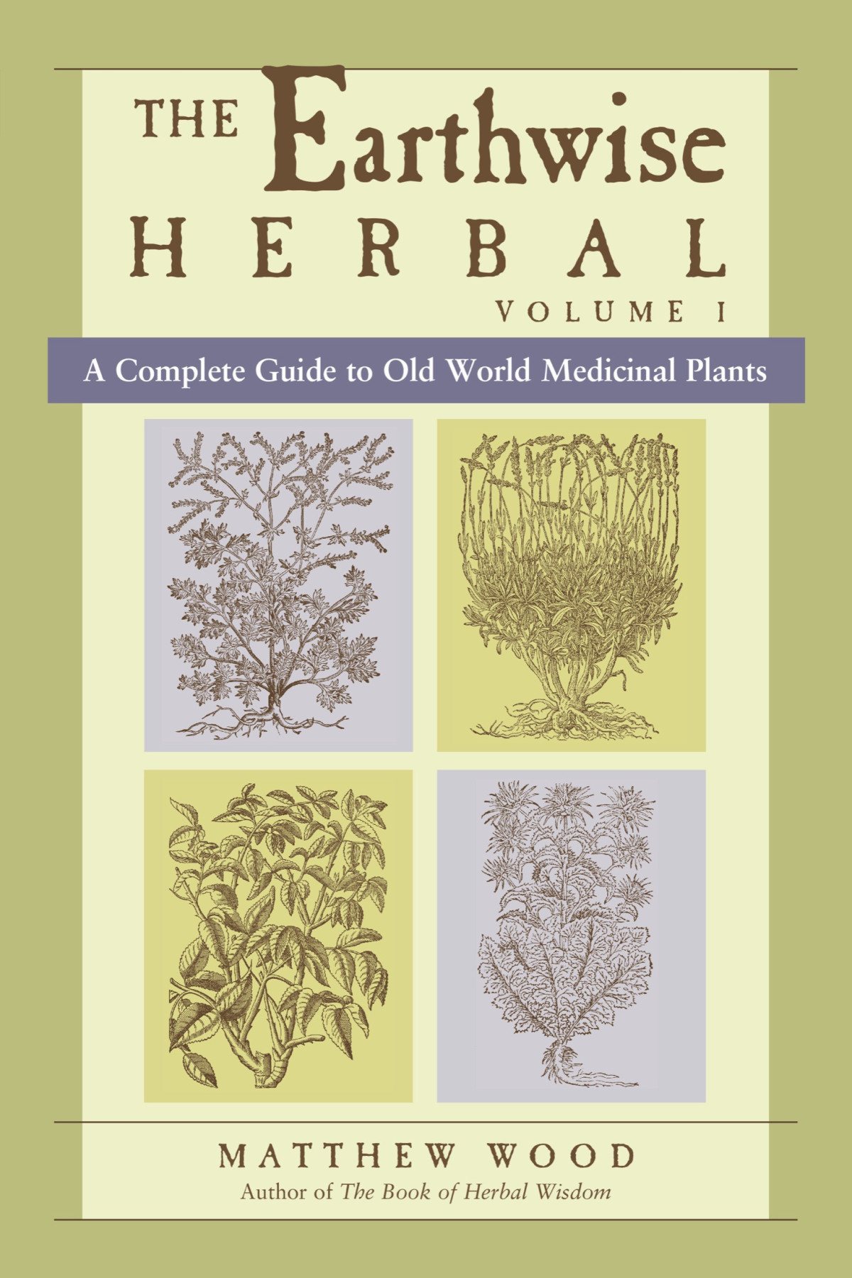 The Earthwise Herbal Volume I A Complete Guide To Old World Medicinal Plants Matthew Wood