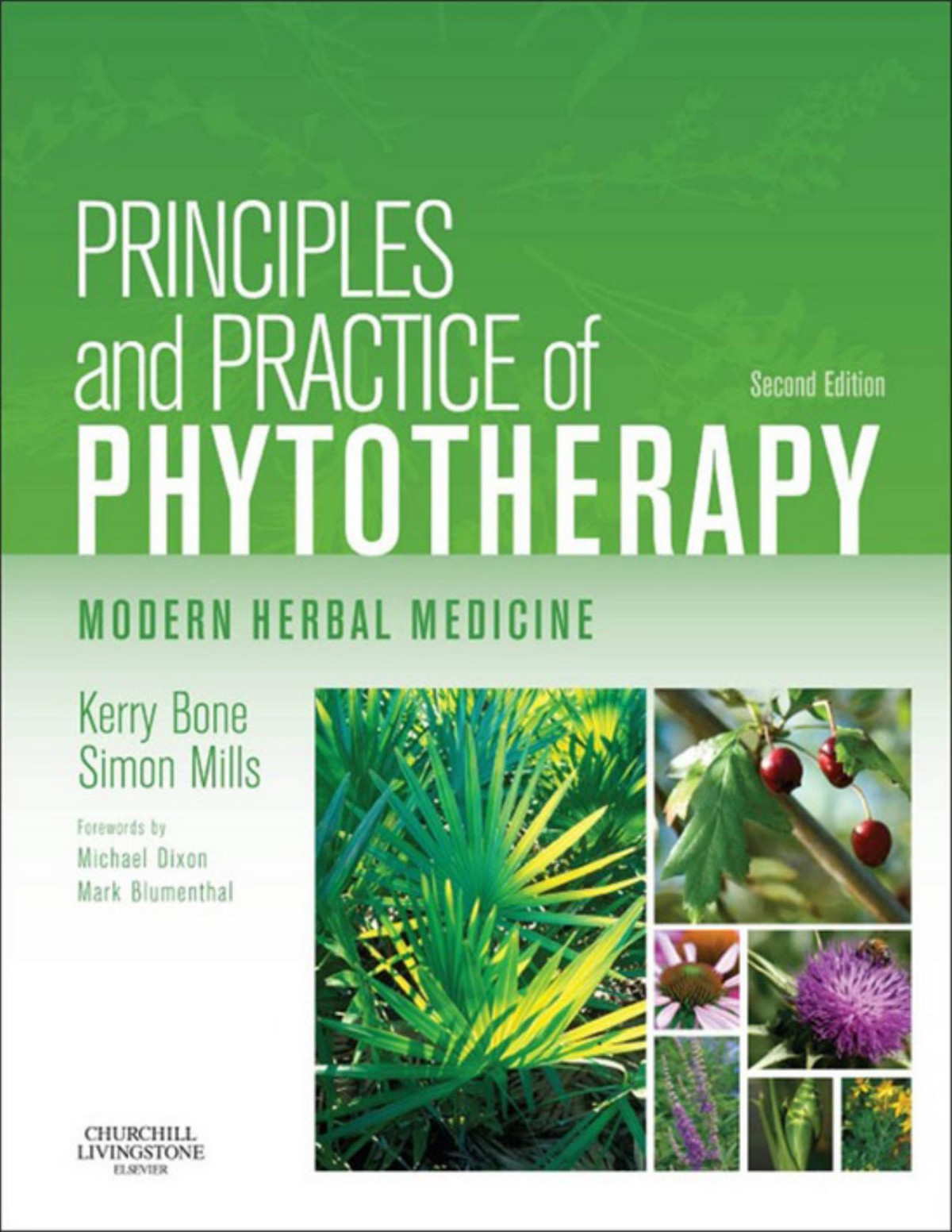 Principles And Practice Of Phytotherapyebook Kerry Bone