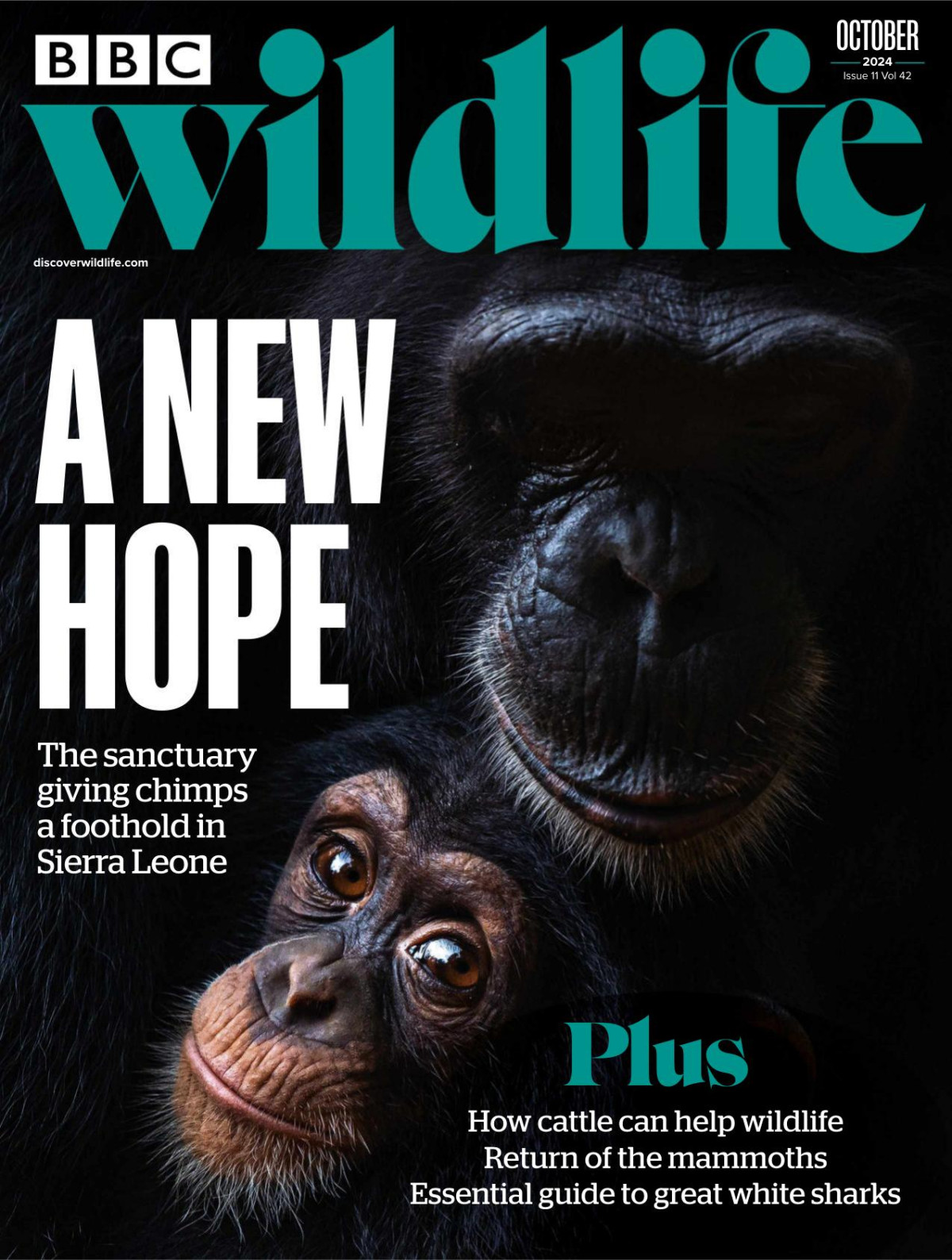 Bbc Wildlife 102024 Downmagaznet