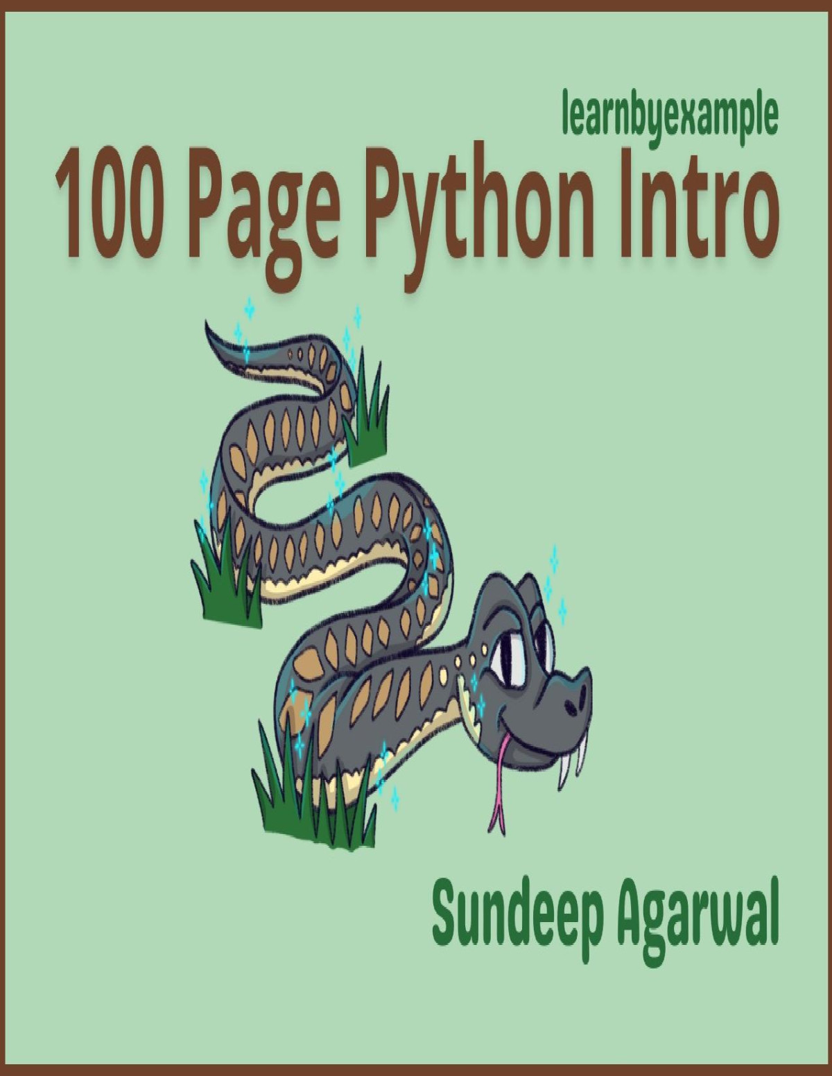 100 Page Python Intro Sundeep Agarwal
