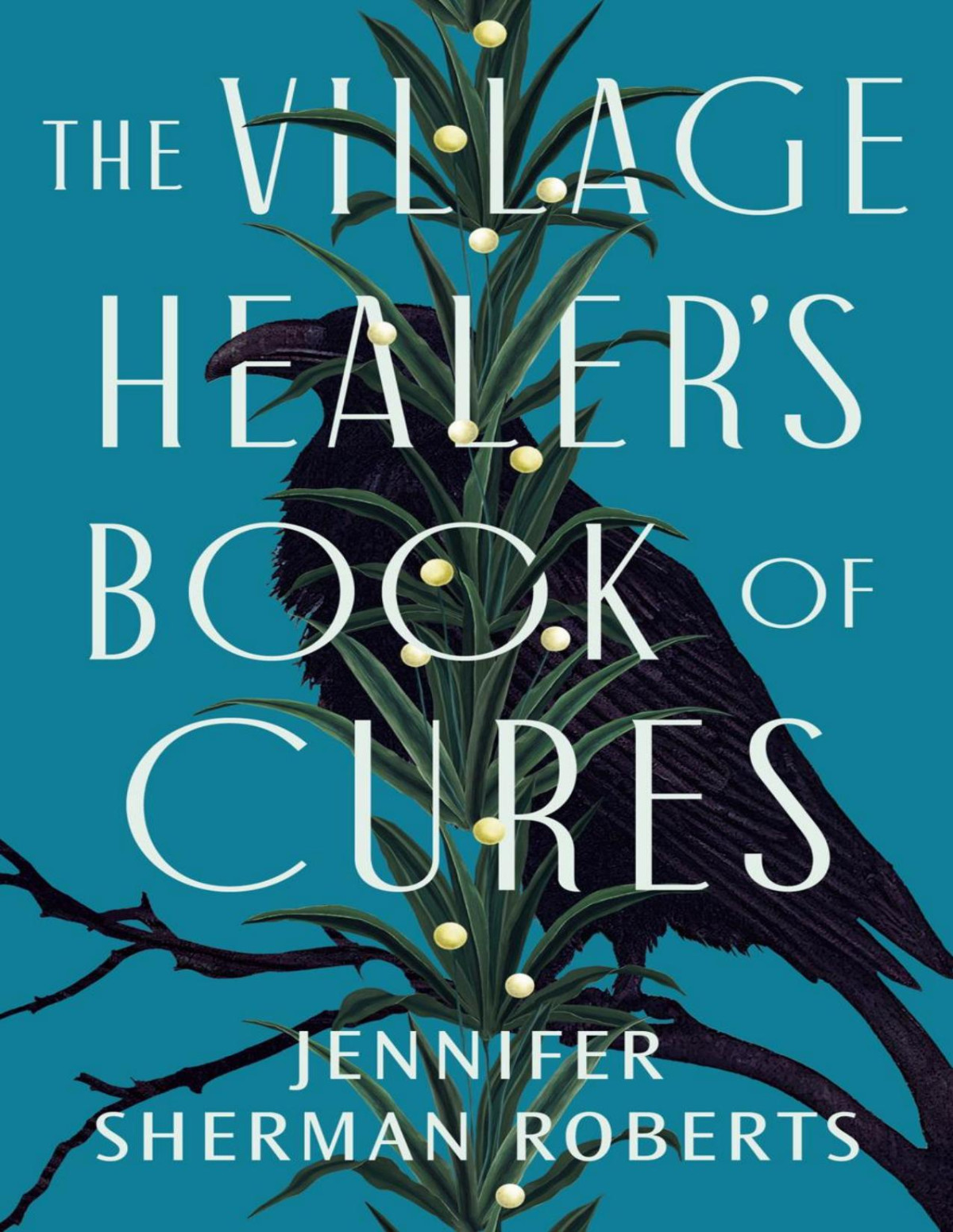 The Village Healers Book Of Cures Jennifer Sherman Roberts