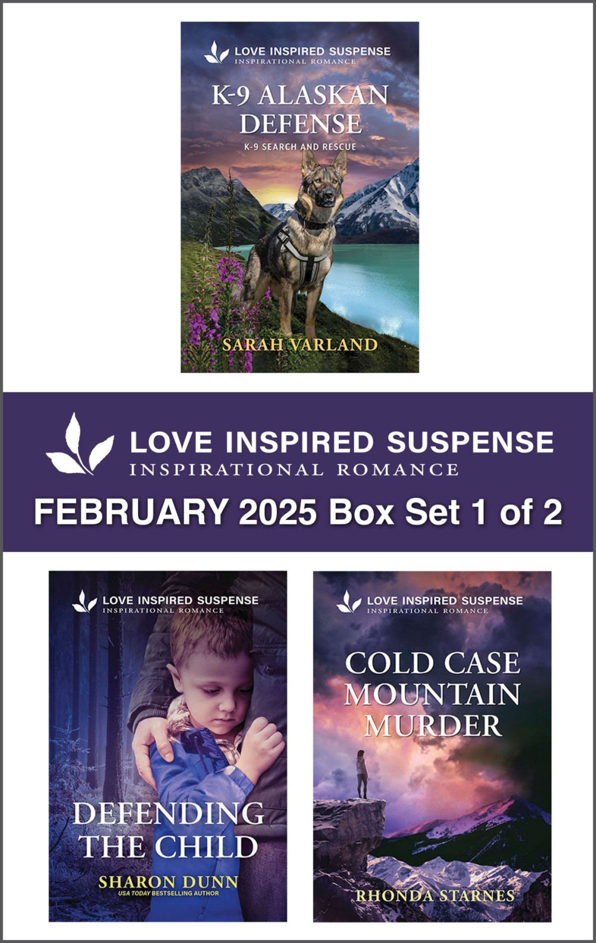 Love Inspired Suspense February 2025 Box Set 1 Of 2 Sarah Varland