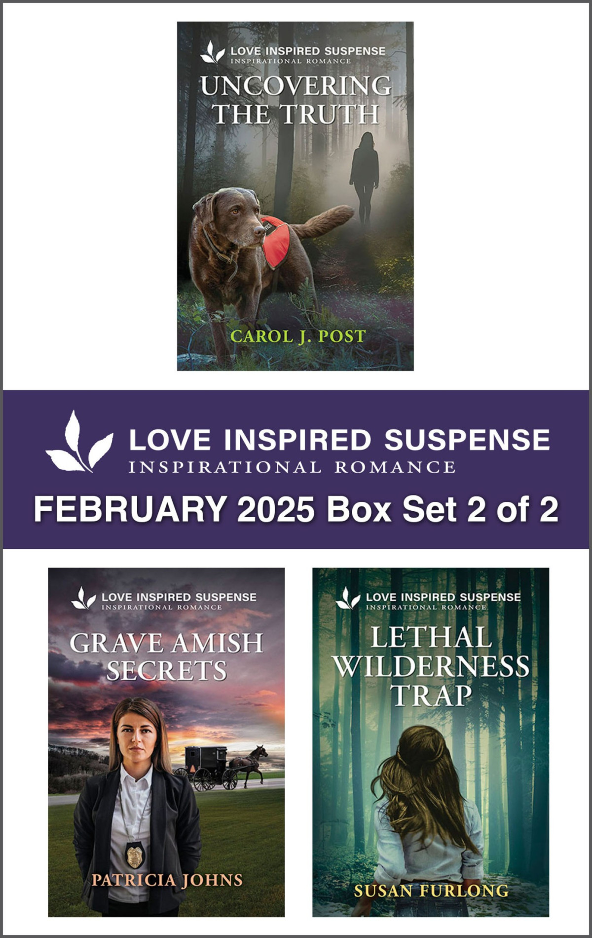 Love Inspired Suspense February 2025 Box Set 2 Of 2 Carol J Post