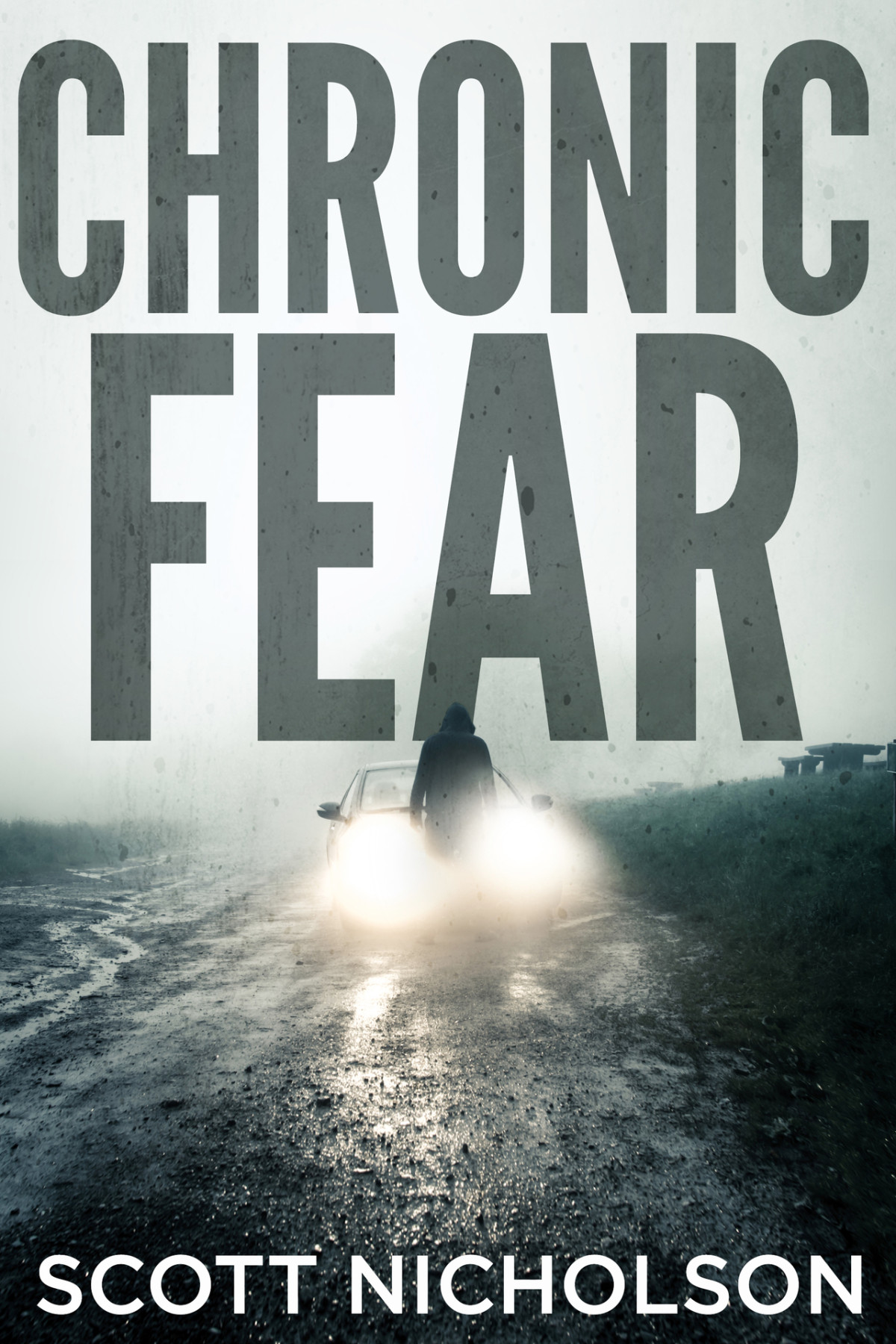 Chronic Fear The Fear Psychological Thriller Series Book 2 Nicholson
