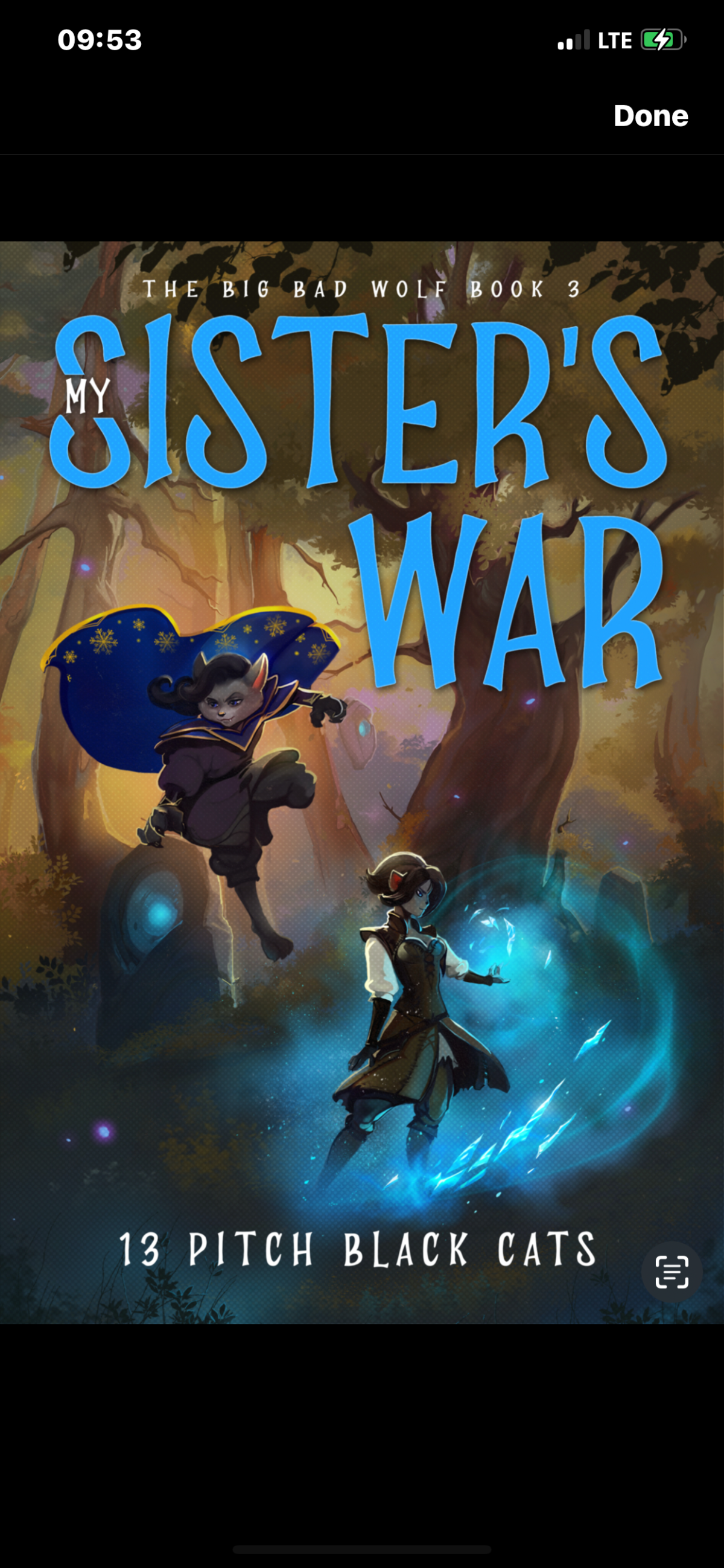 The Big Bad Wolf Book 3 My Sisters War Cats 13 Pitch Black