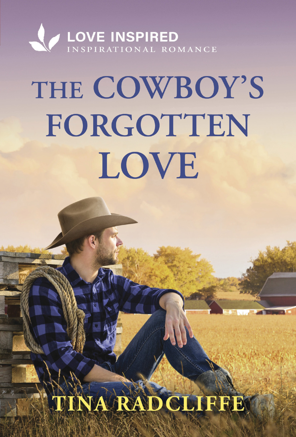 The Cowboys Forgotten Love Tina Radcliffe