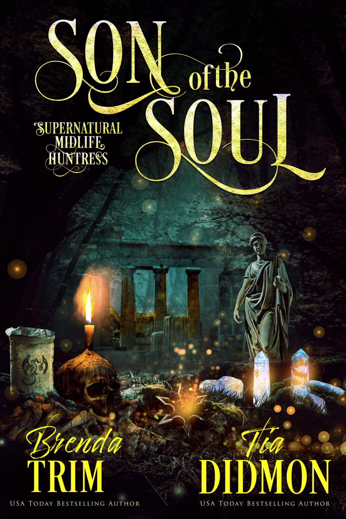 Son Of The Soul Paranormal Womens Fiction Supernatural Midlife Huntress Shrouded Nation Book 17 Brenda Trim Tia Didmon