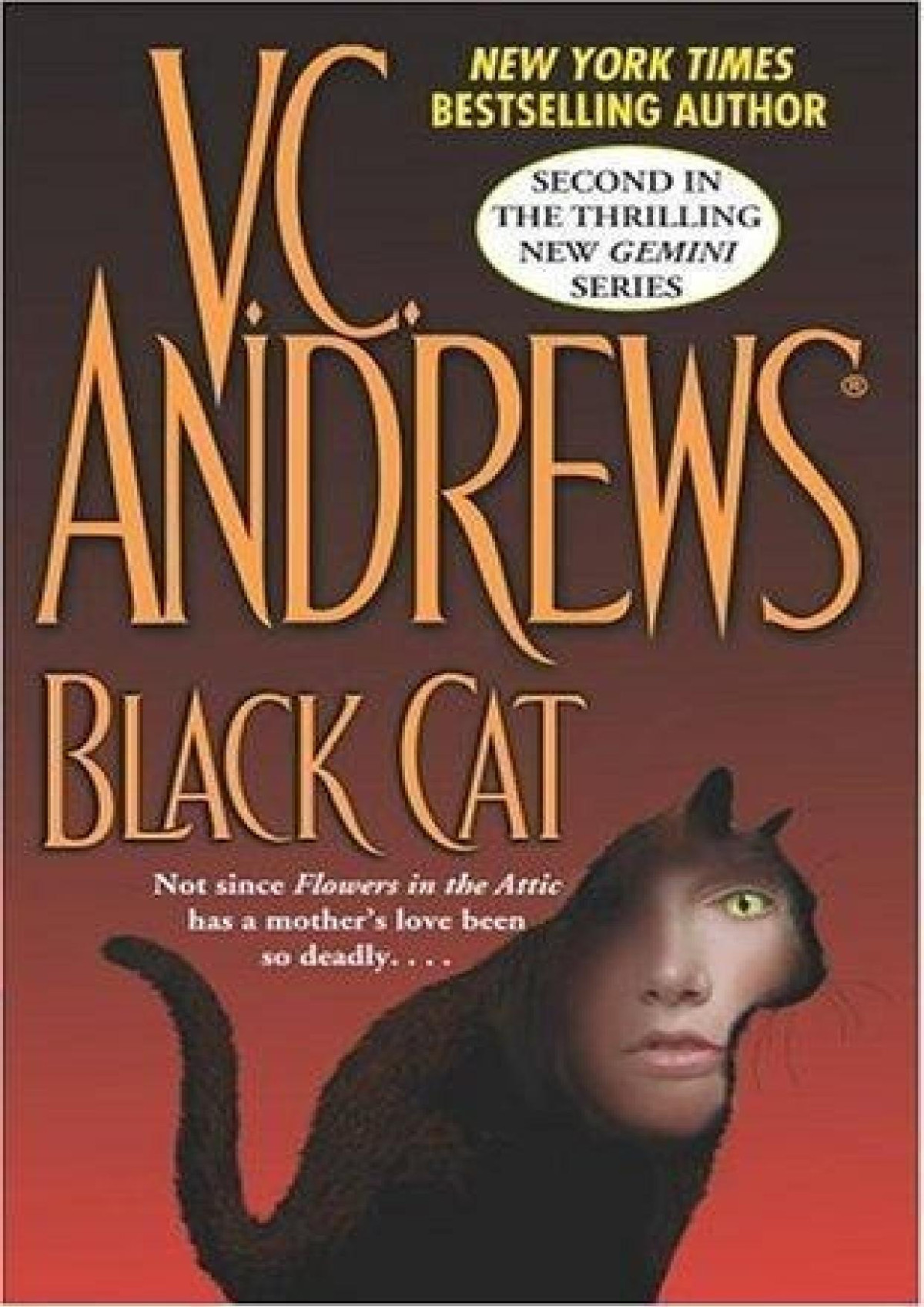 Gemini 02 Black Cat V C Andrews