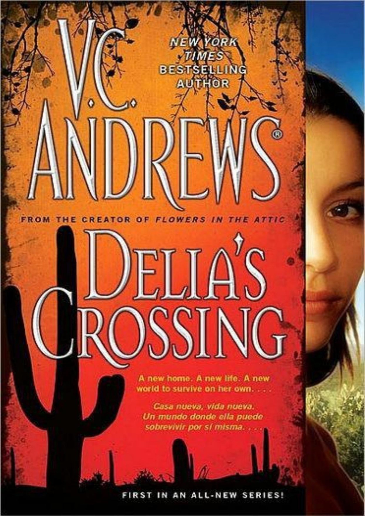 Delias Crossing Vc Andrews
