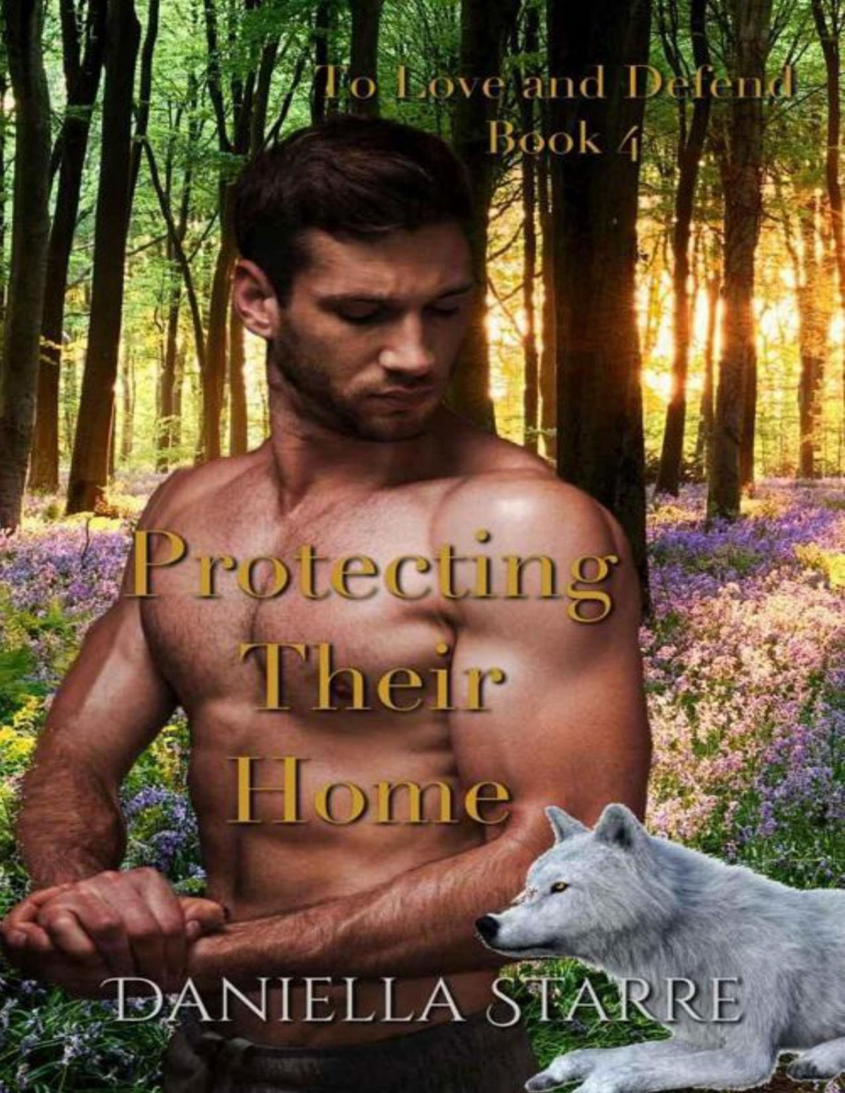 Protecting Their Home To Love And Defend Book 4 Daniella Starre