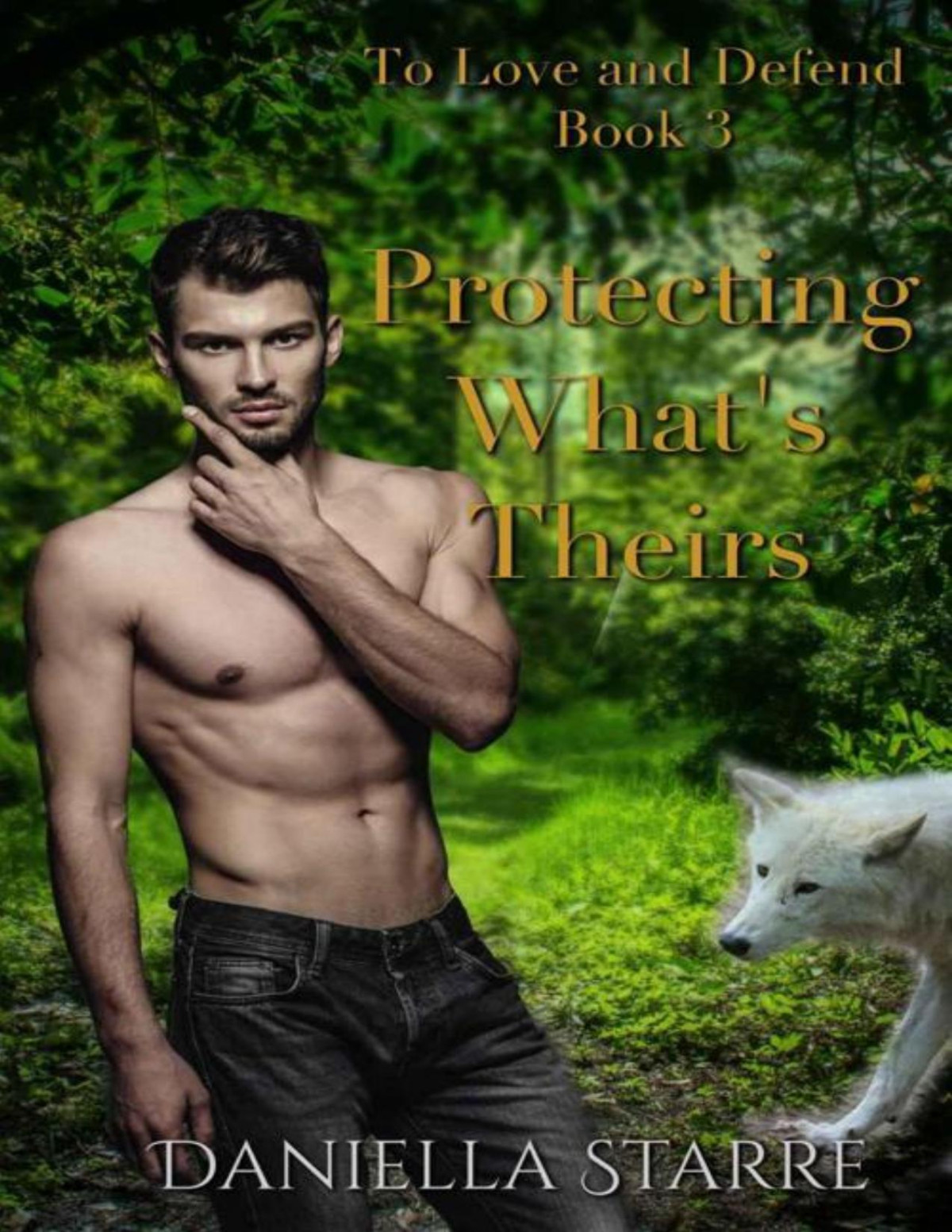 Protecting Whats Theirs To Love And Defend Book 3 Daniella Starre