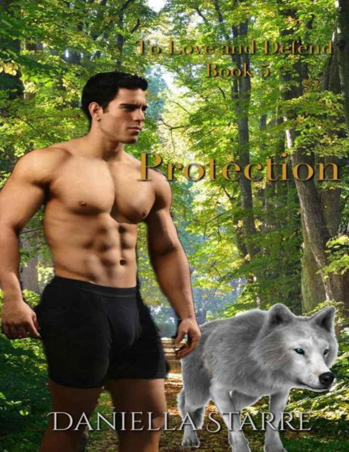 Protection To Love And Defend Book 5 Daniella Starre