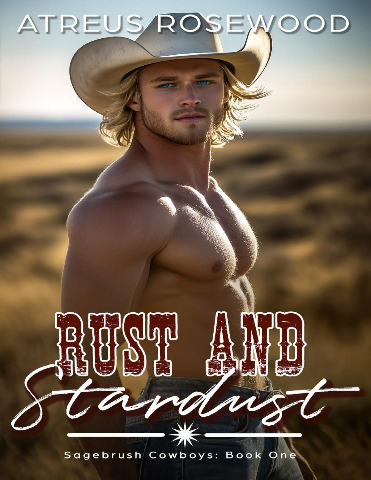 Rust And Stardust A Gay Cowboy Romance Sagebrush Cowboys Book 1 Atreus Rosewood
