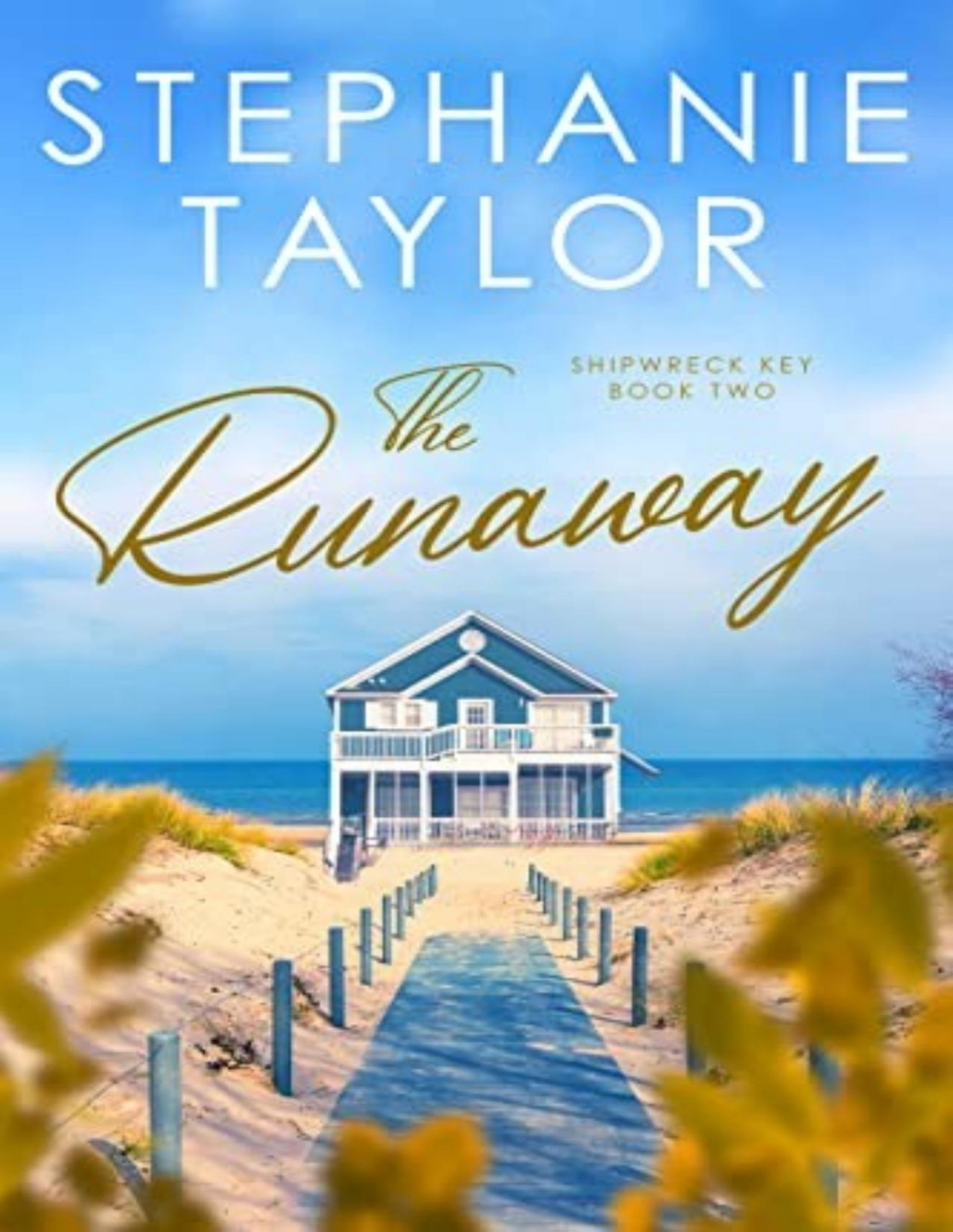 Shipwreck Key 2 The Runaway Stephanie Taylor