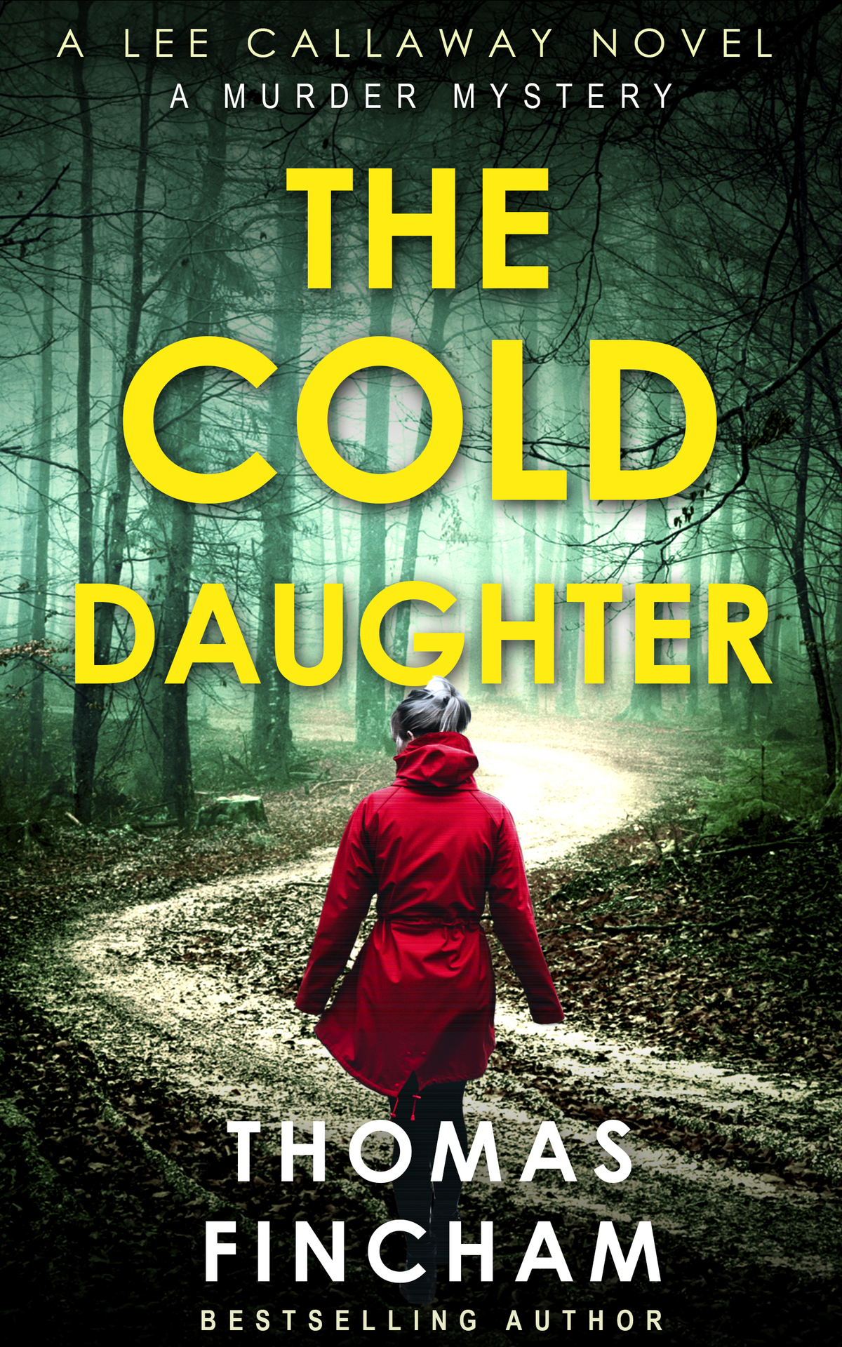 The Cold Daughter A Murder Mystery Lee Callaway Book 1 Fincham