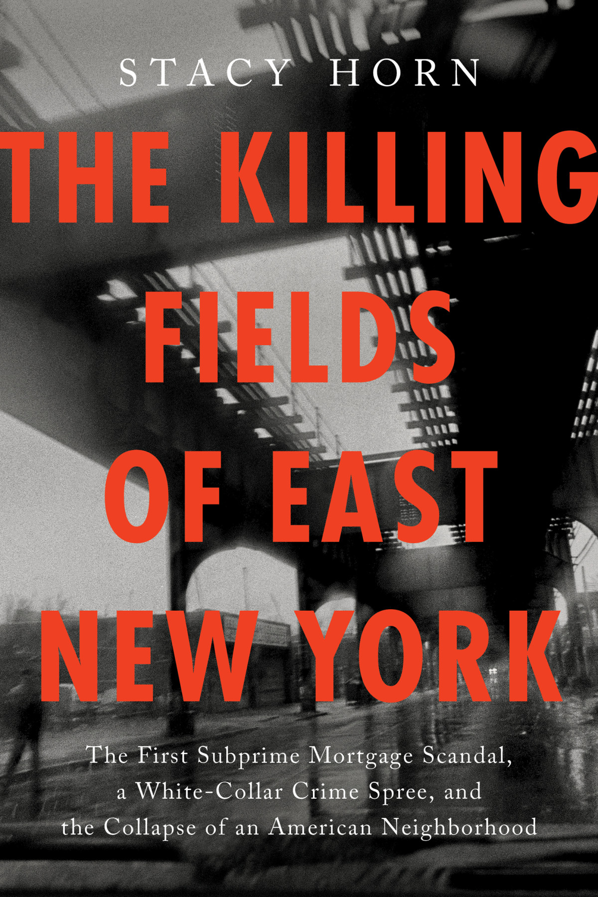 The Killing Fields Of East New York The First Subprime Mortgage Scandal A Whitecollar Crime Spree And The Collapse Of An American Neighborhood Stacy Horn