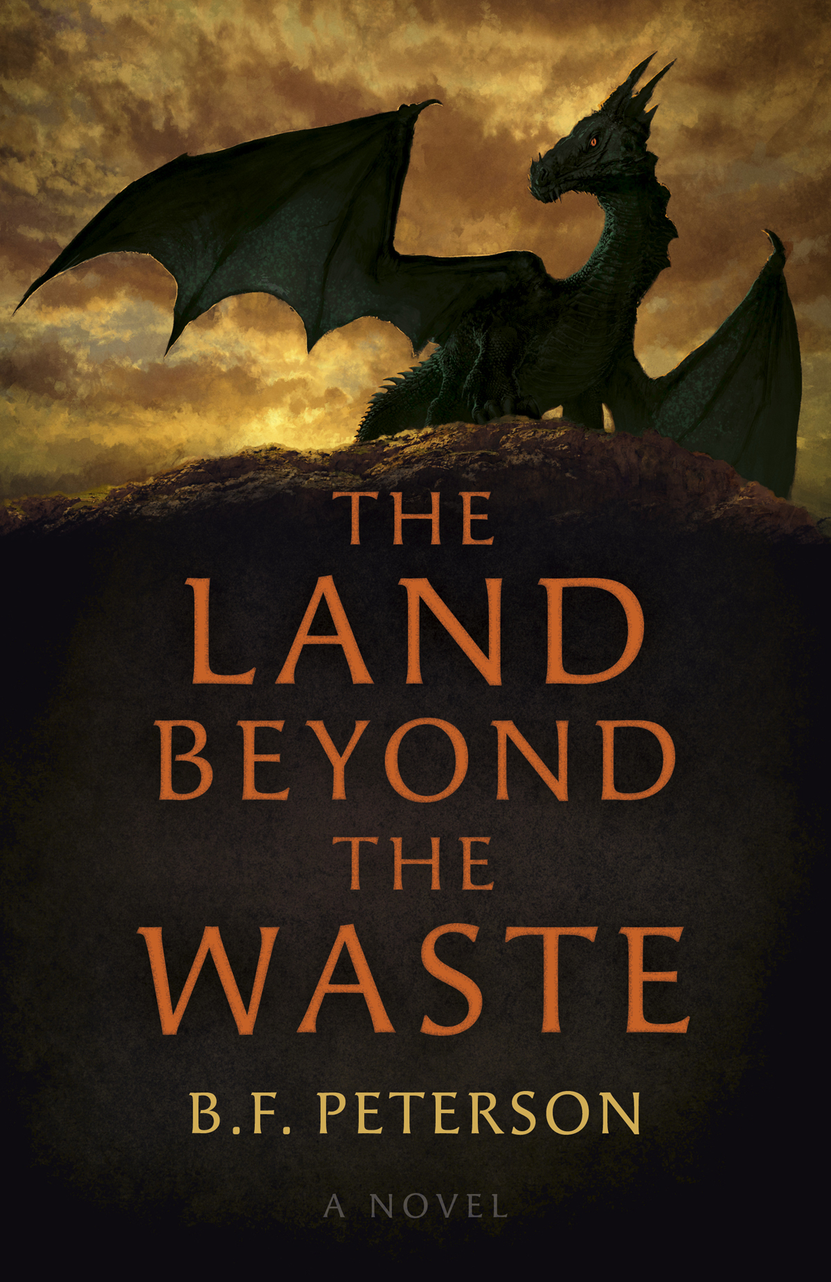 The Land Beyond The Waste B F Peterson
