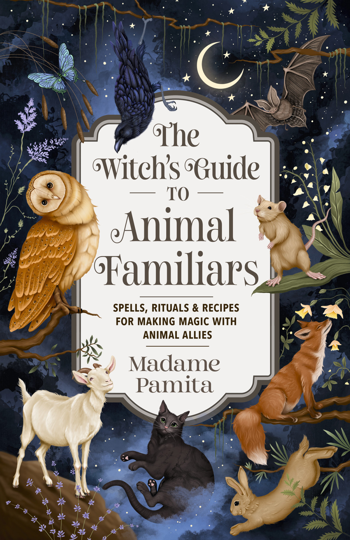The Witchs Guide To Animal Familiars Madame Pamita