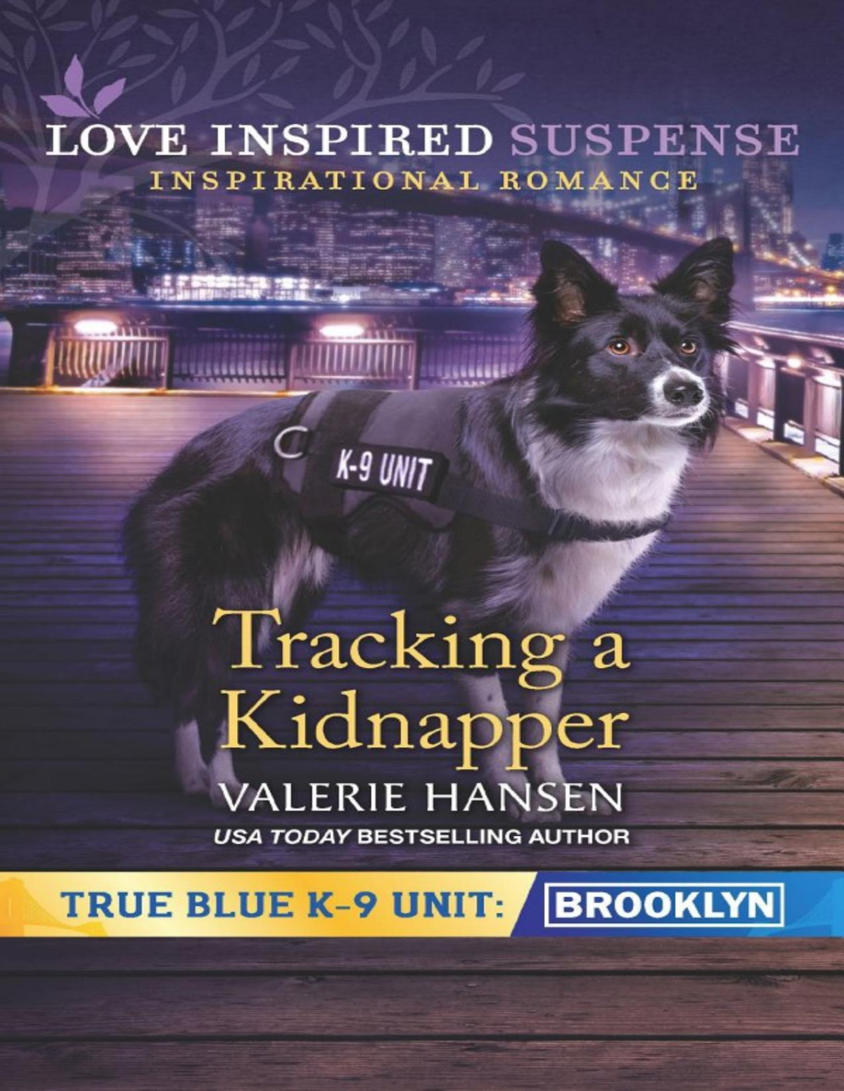 Tracking A Kidnapper Valerie Hansen