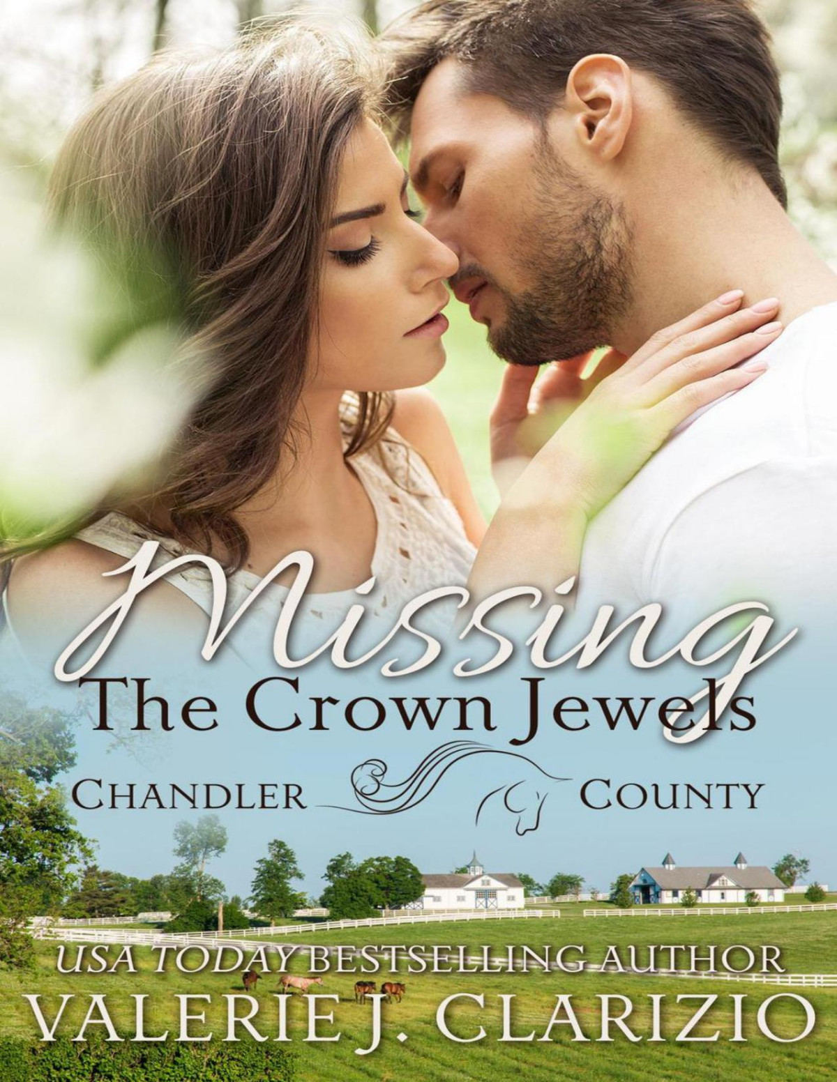 Missing The Crown Jewels Valerie J Clarizio