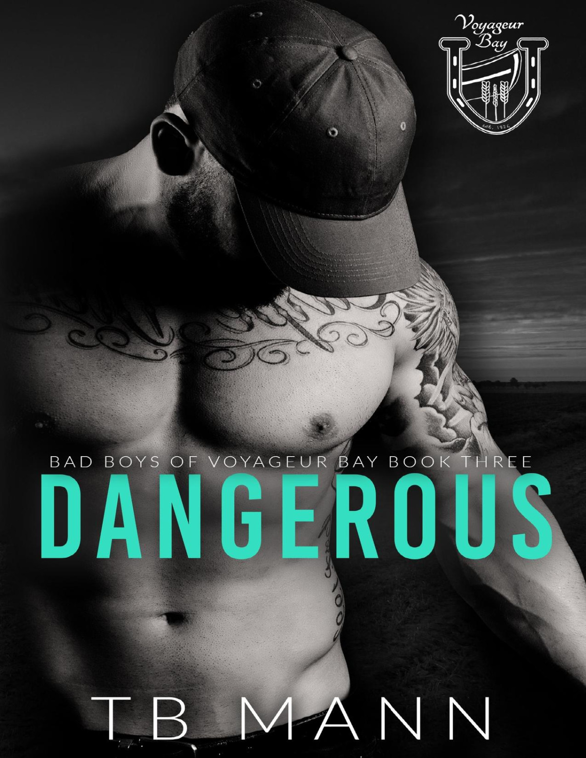 Dangerous Bad Boys Of Voyageur Bay Book 3 1st Edition Tb Mann