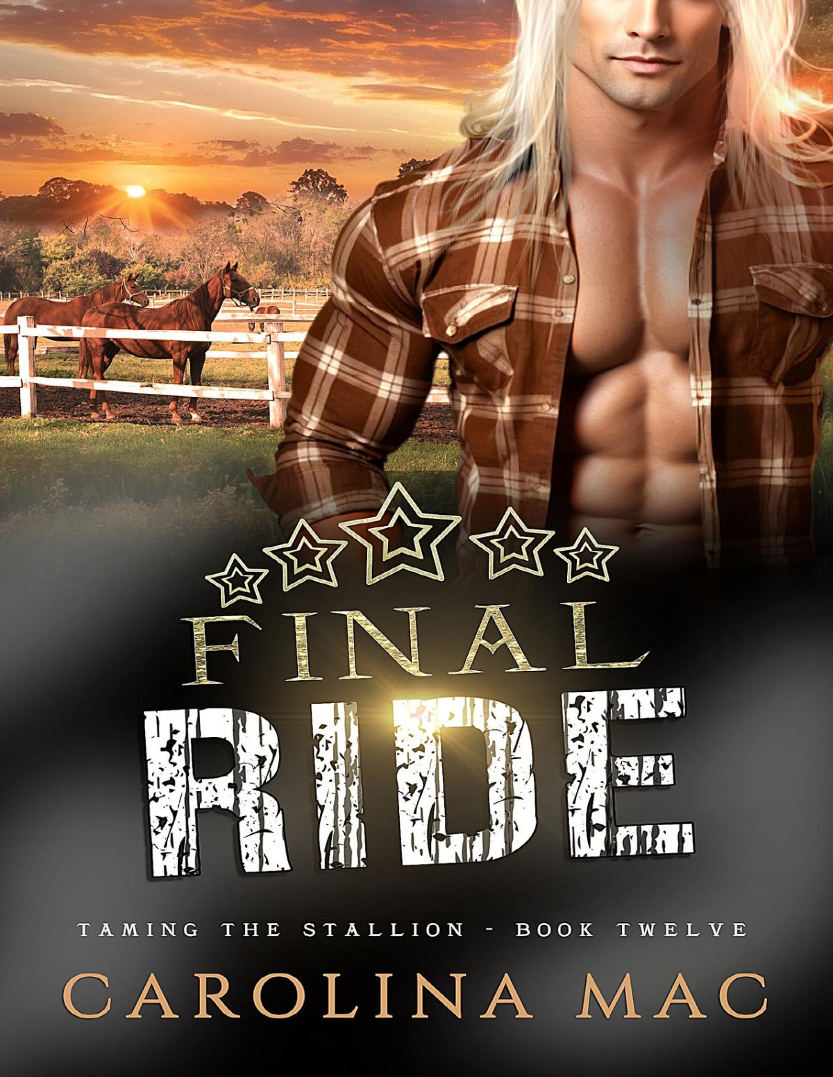 Final Ride Taming The Stallion Series Book 12 Carolina Mac