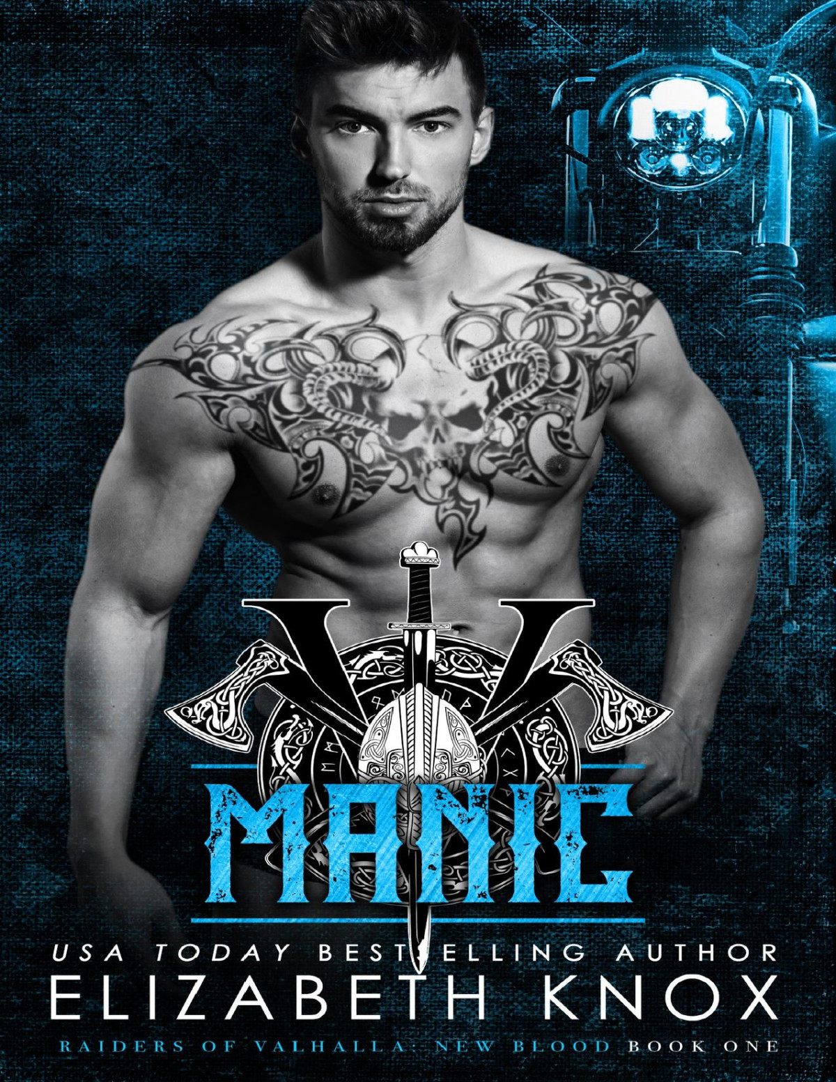 Manic Raiders Of Valhalla Mc New Blood Book 1 Elizabeth Knox